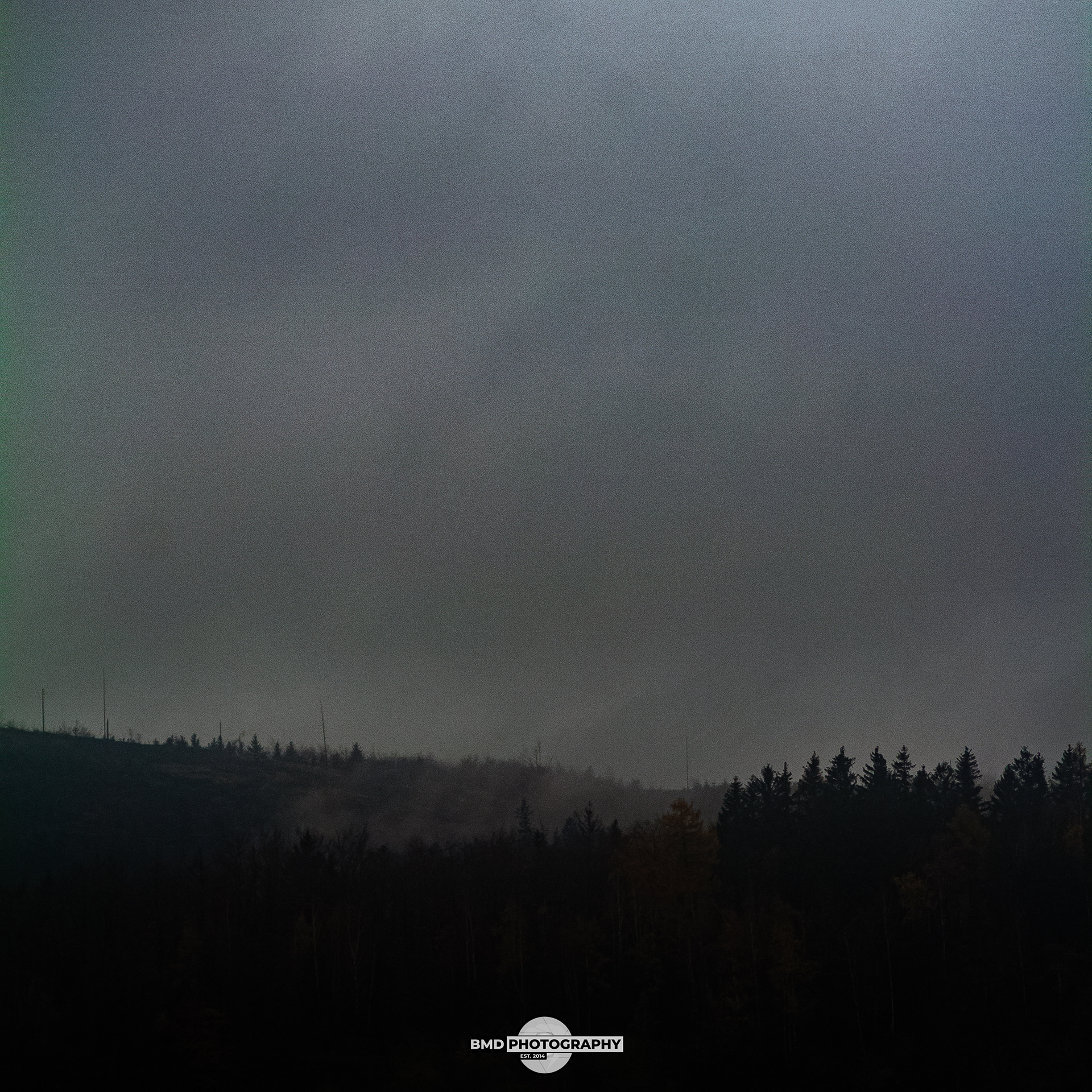Wolfshagen - Nov 2023