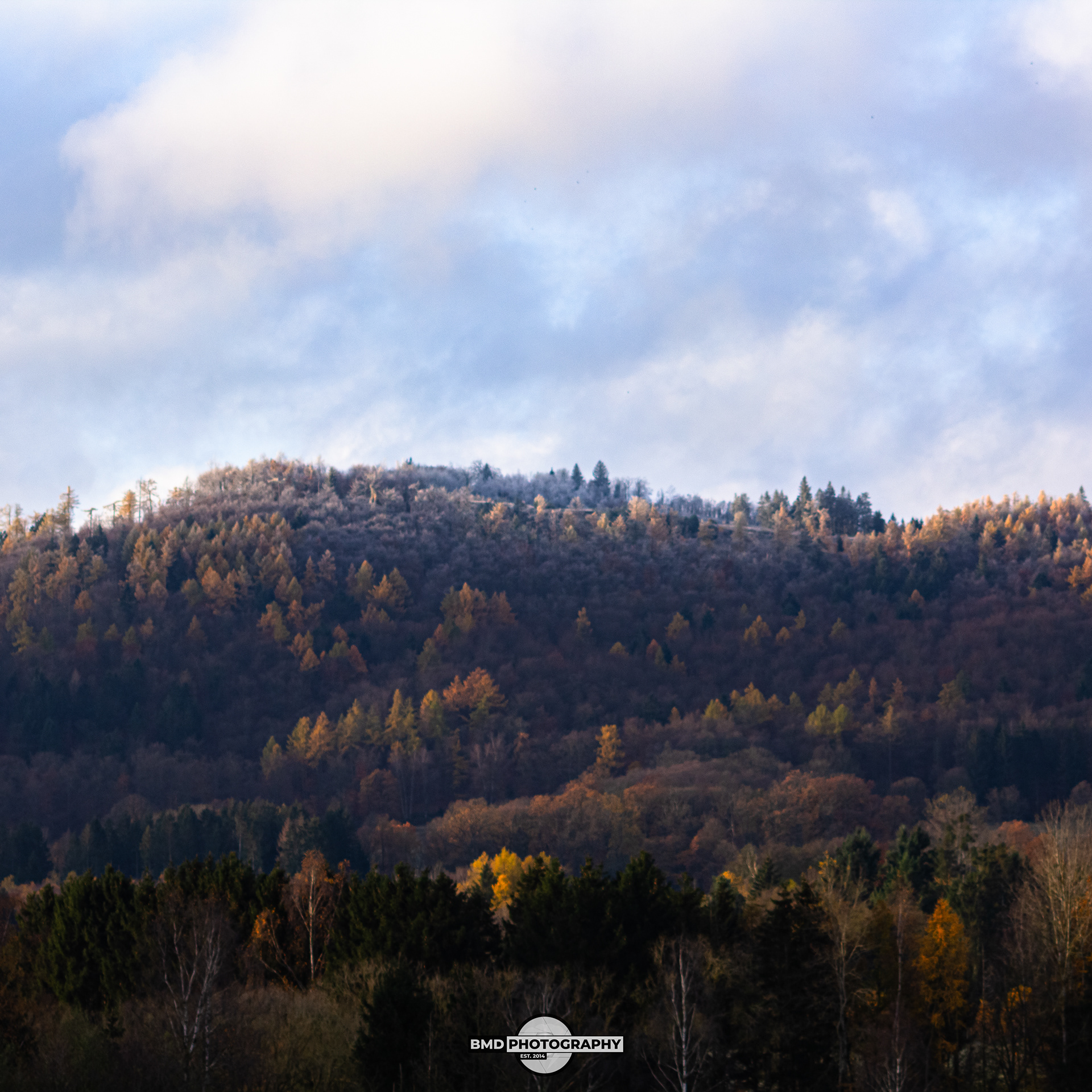 Wolfshagen - Nov 2023
