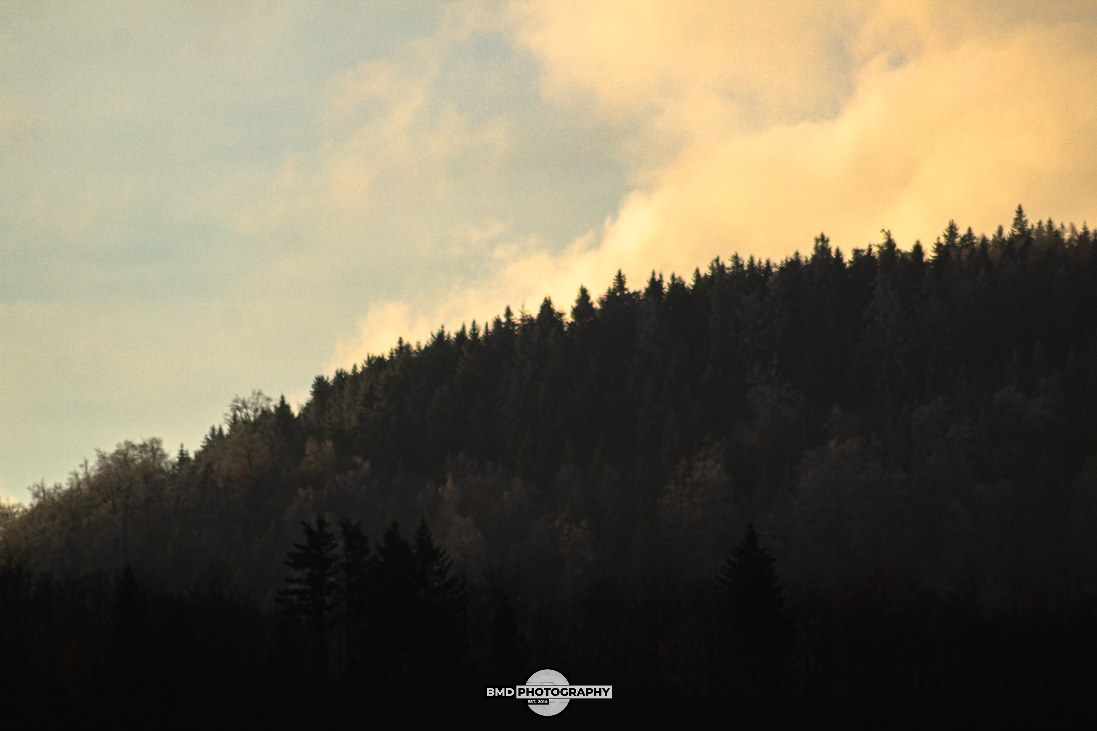 Wolfshagen - Nov 2023