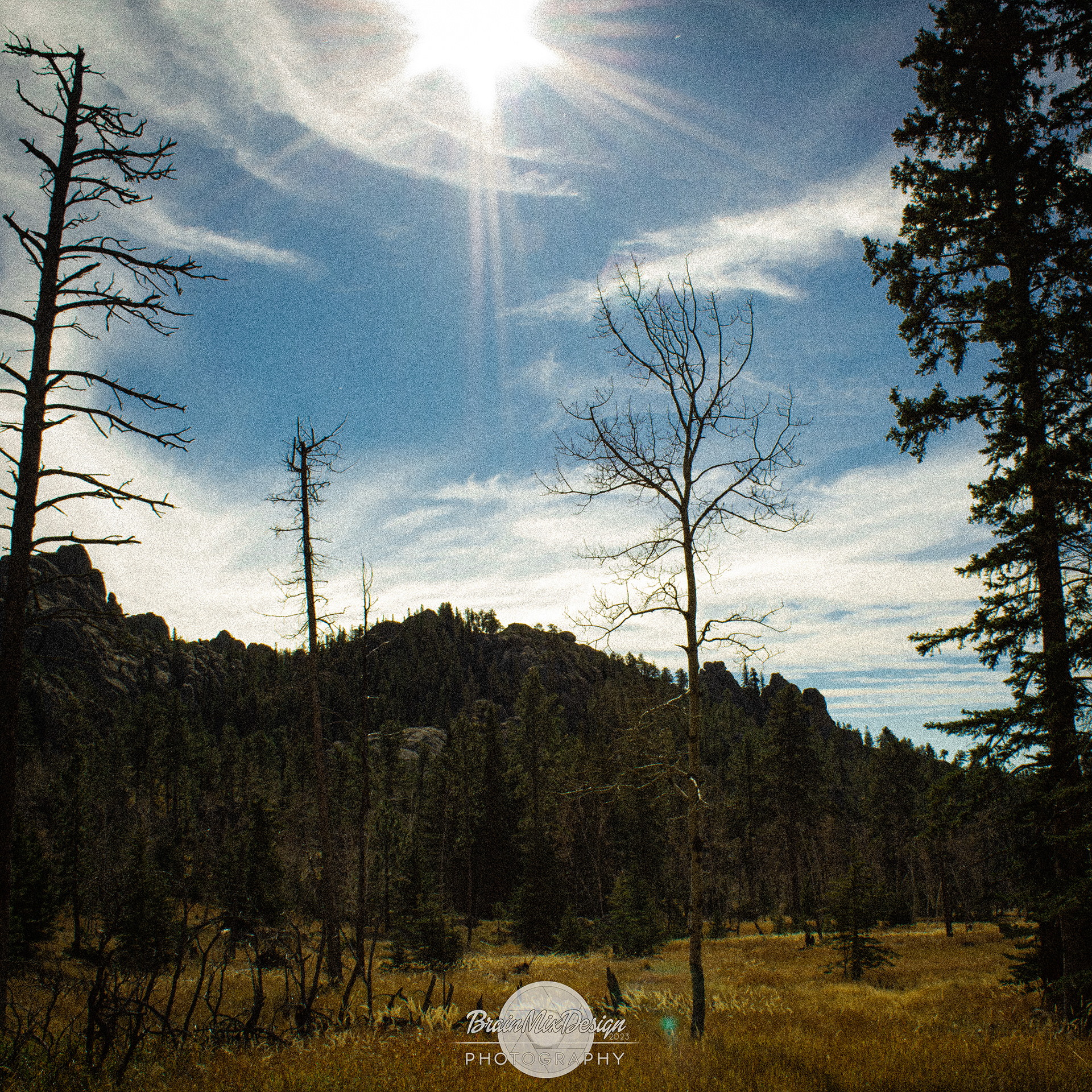 Lost Photo USA 2015