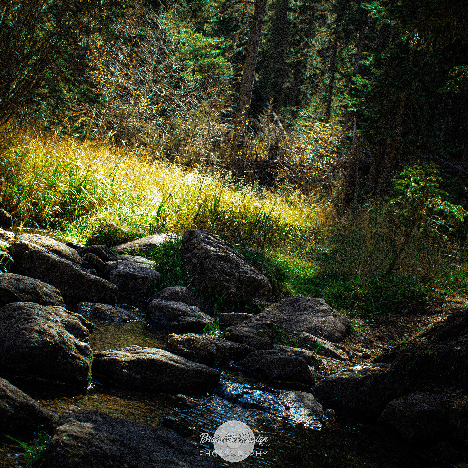 Lost Photo USA 2015