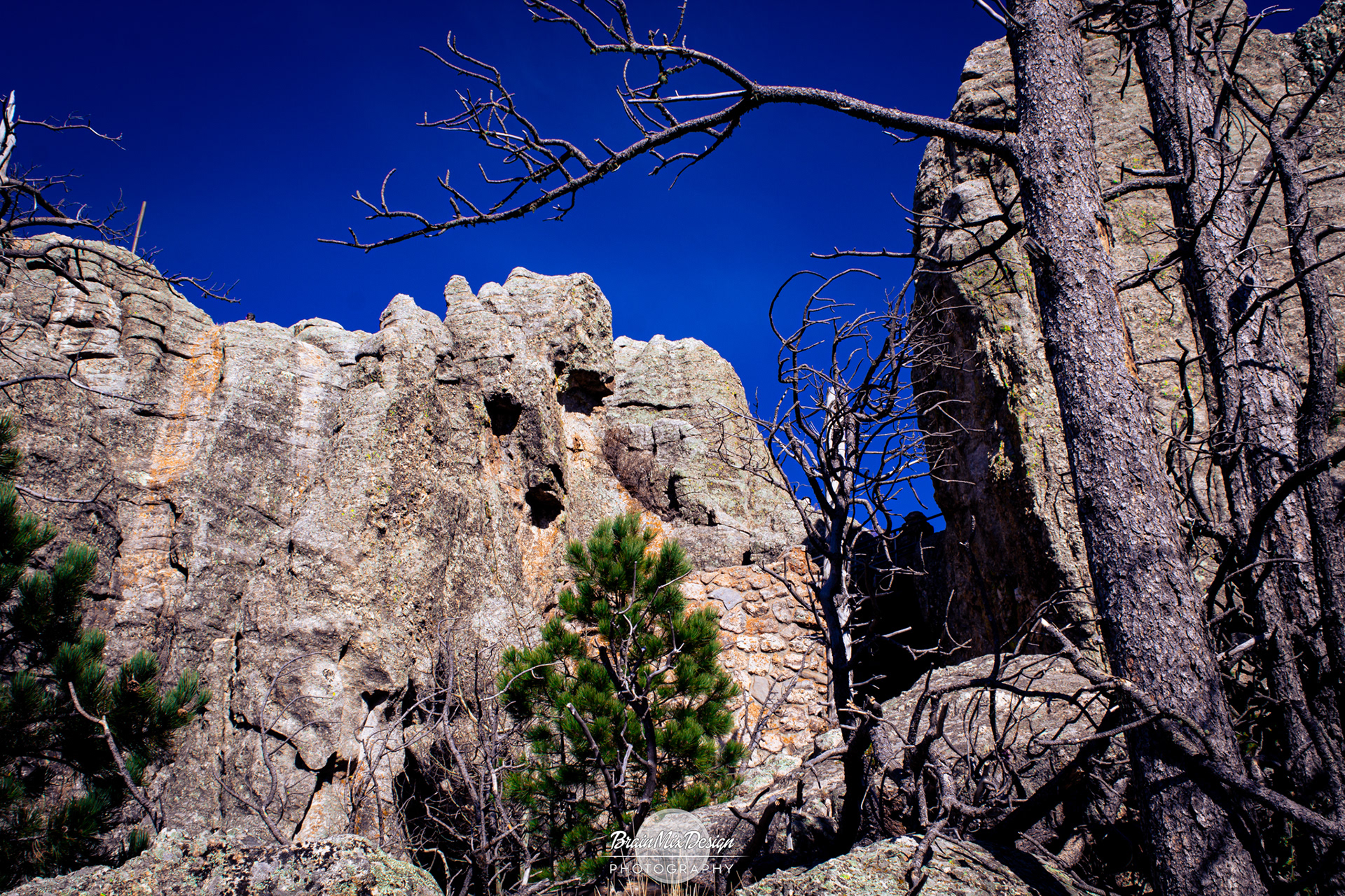 Lost Photo USA 2015