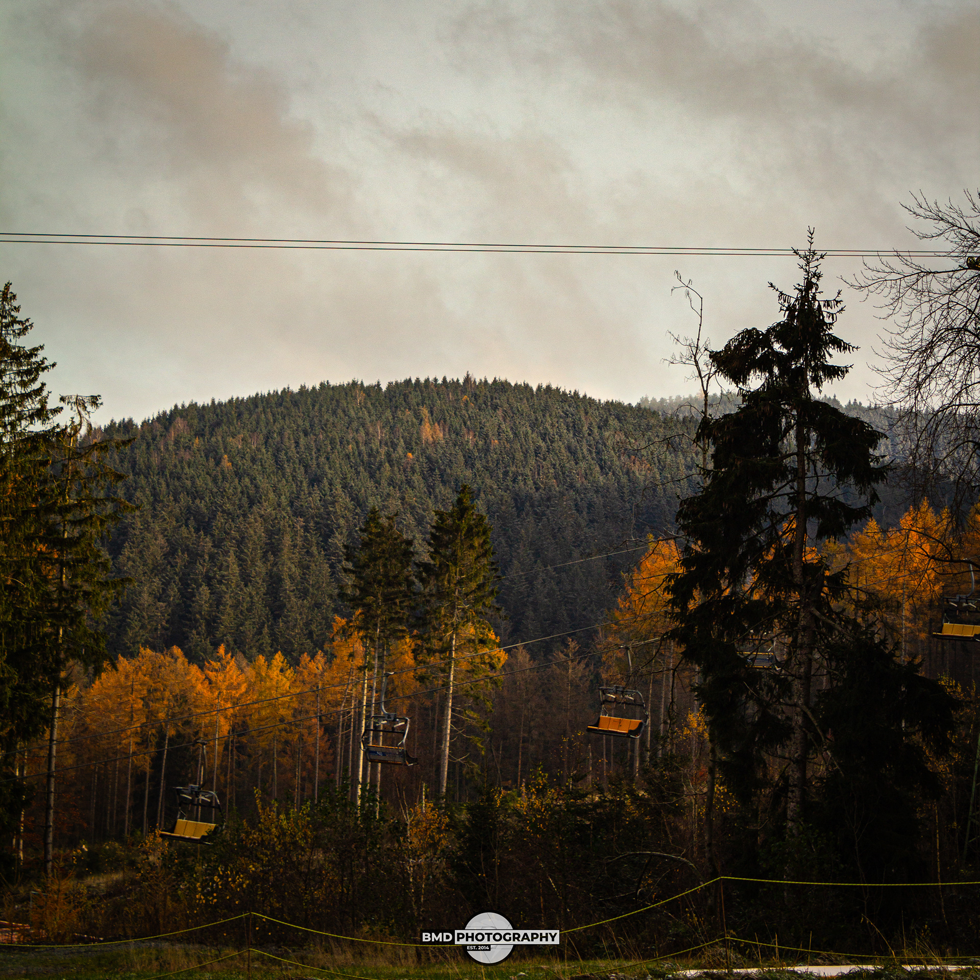 Wolfshagen - Nov 2023