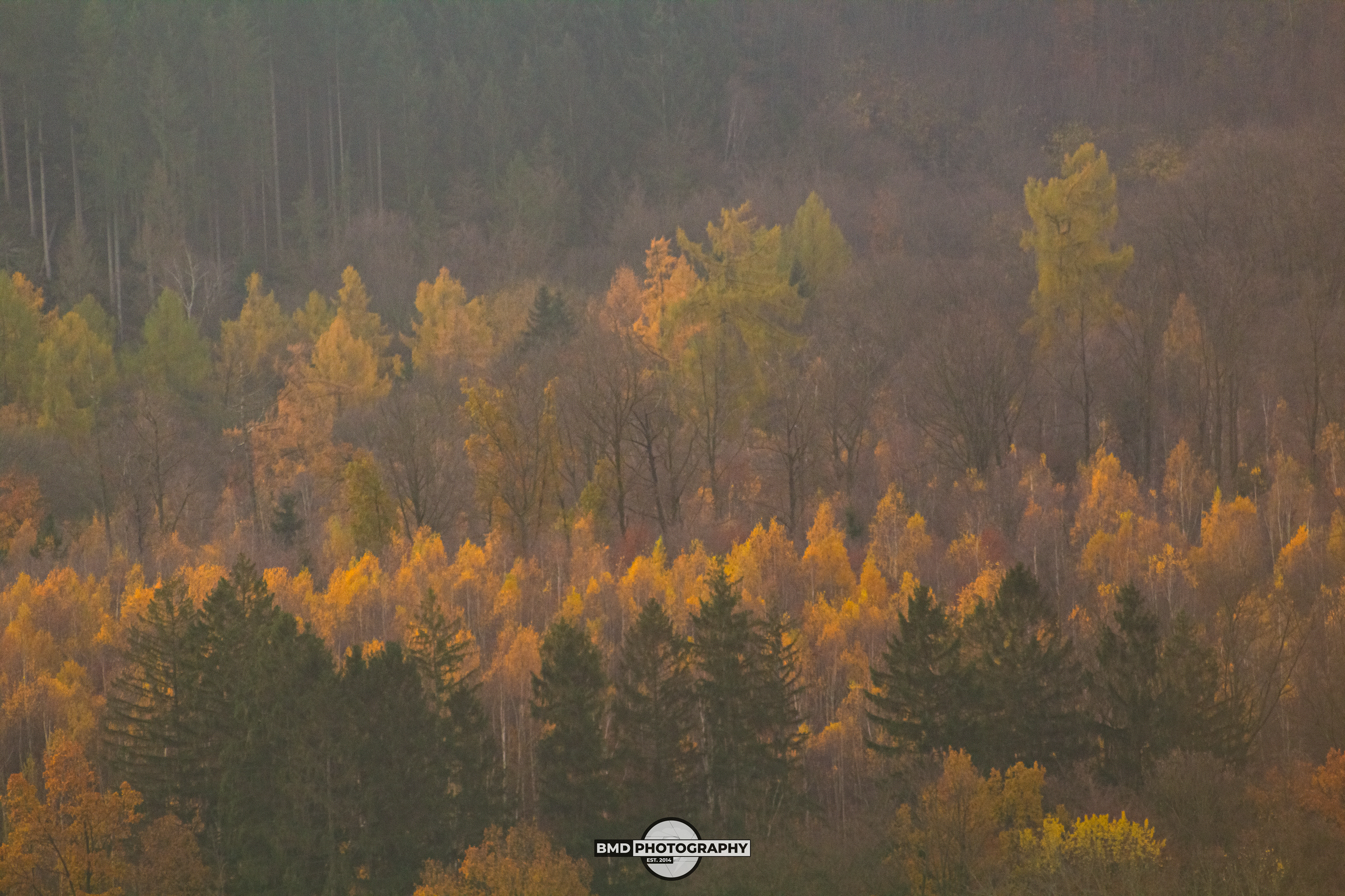 Wolfshagen - Nov 2023