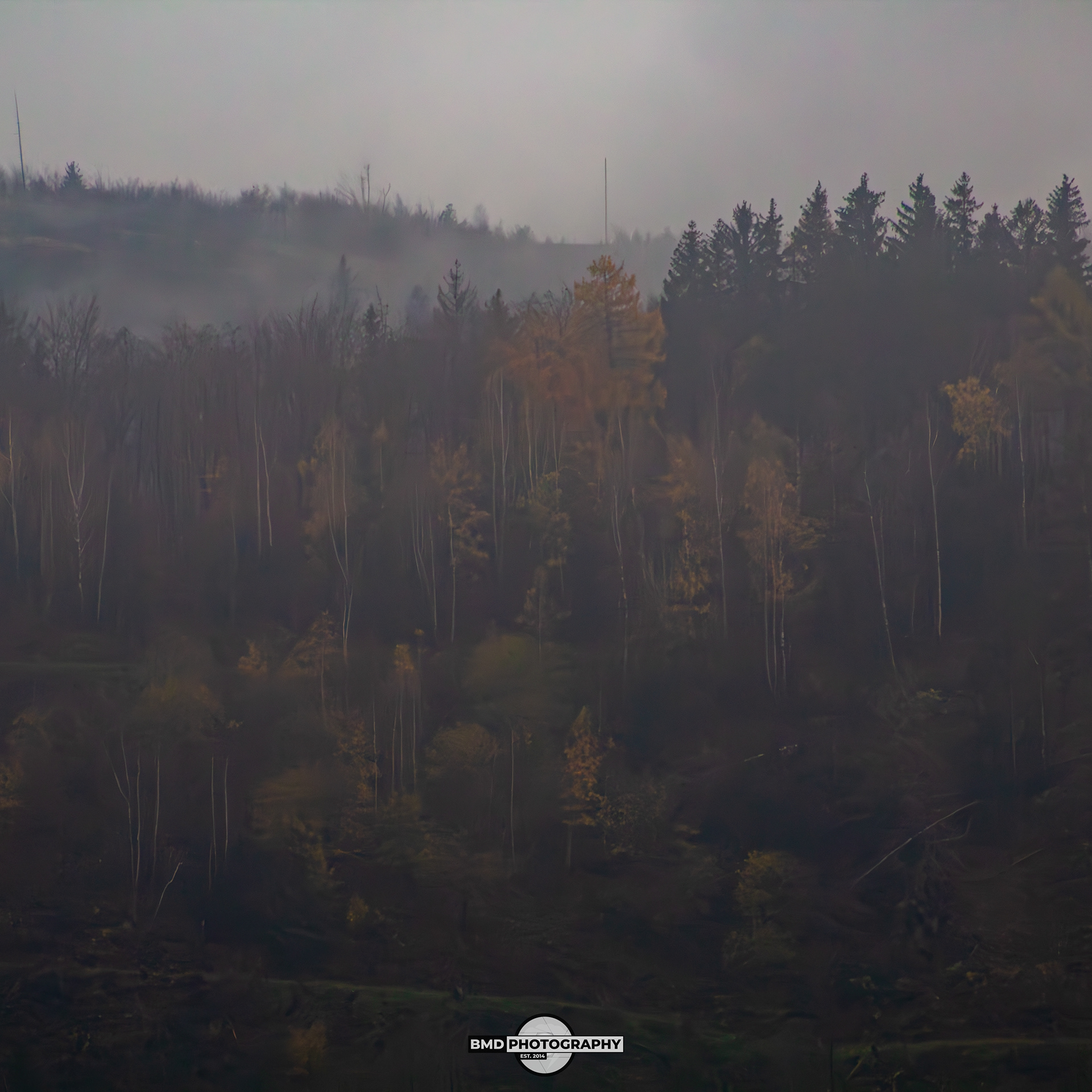 Wolfshagen - Nov 2023