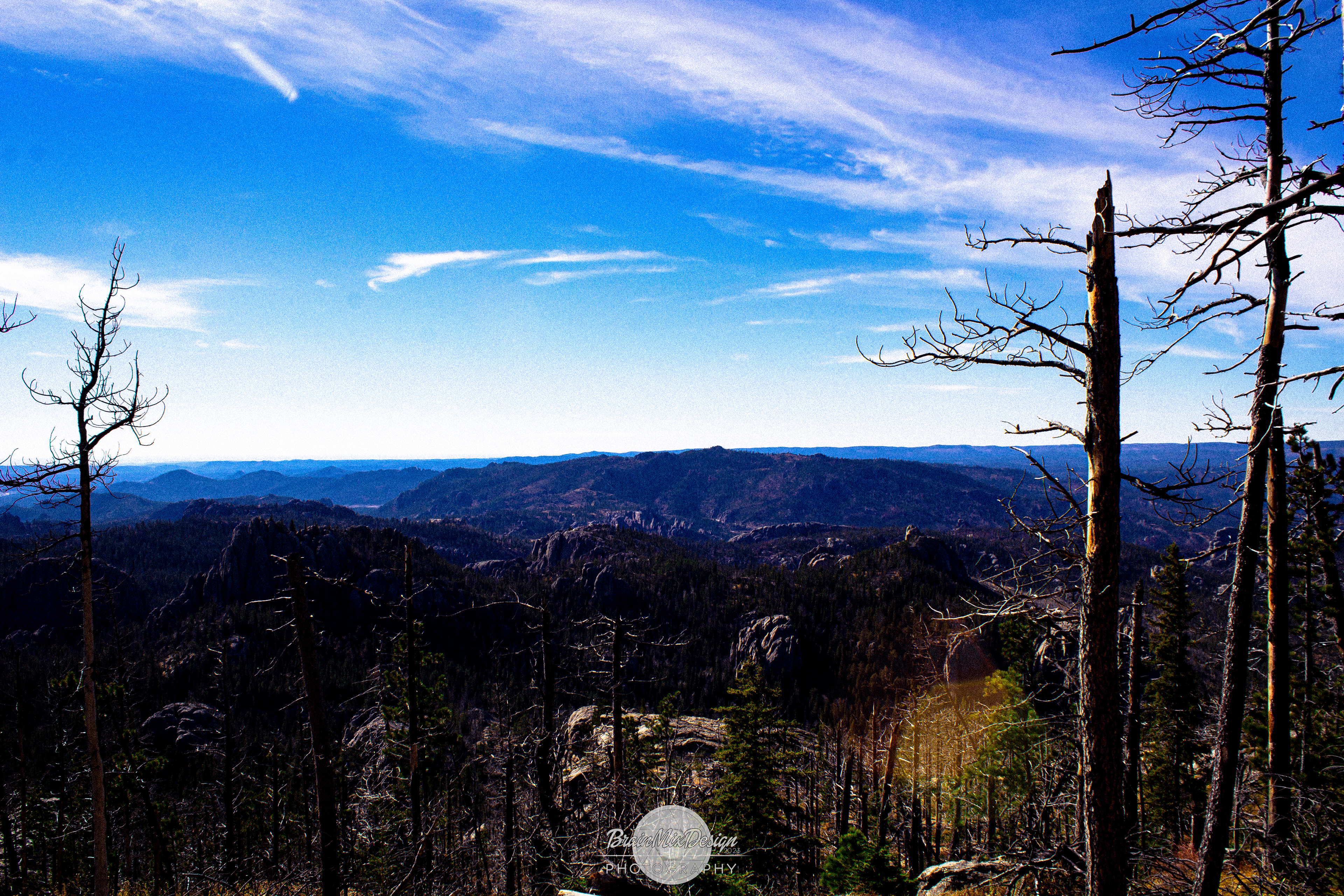 Lost Photo USA 2015
