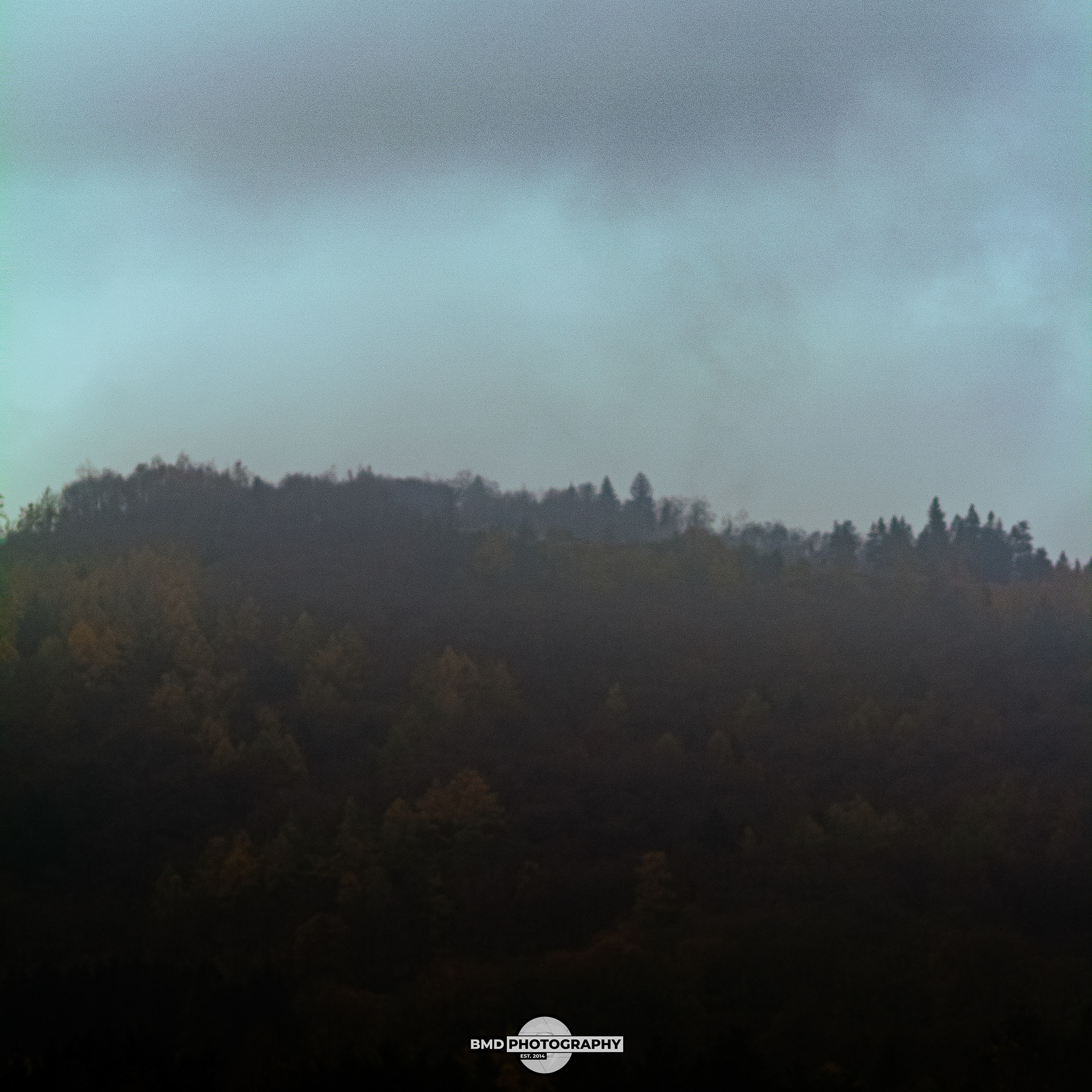 Wolfshagen - Nov 2023