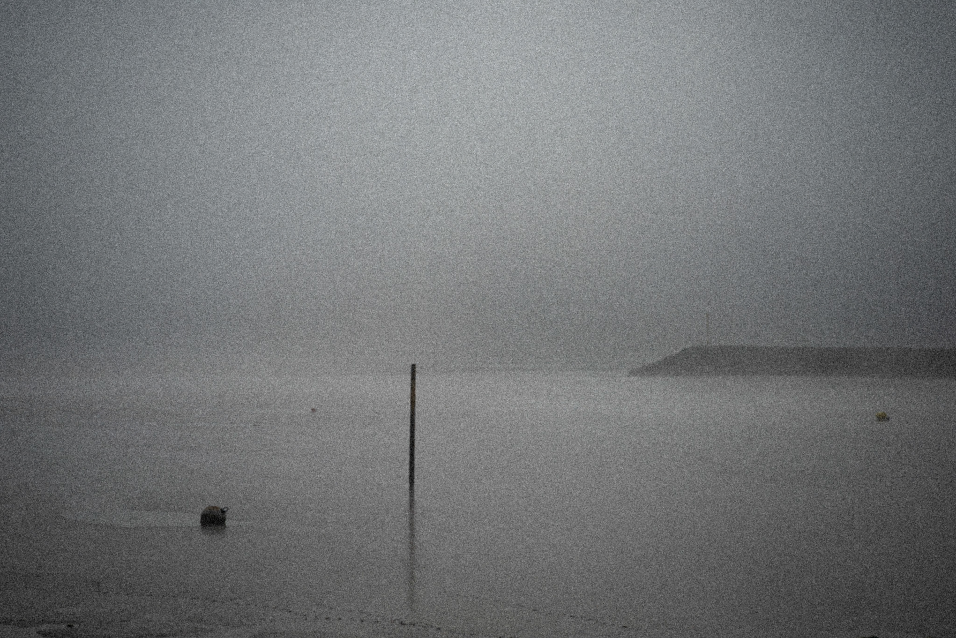 France, Chatelaillon, Charentes Maritimes