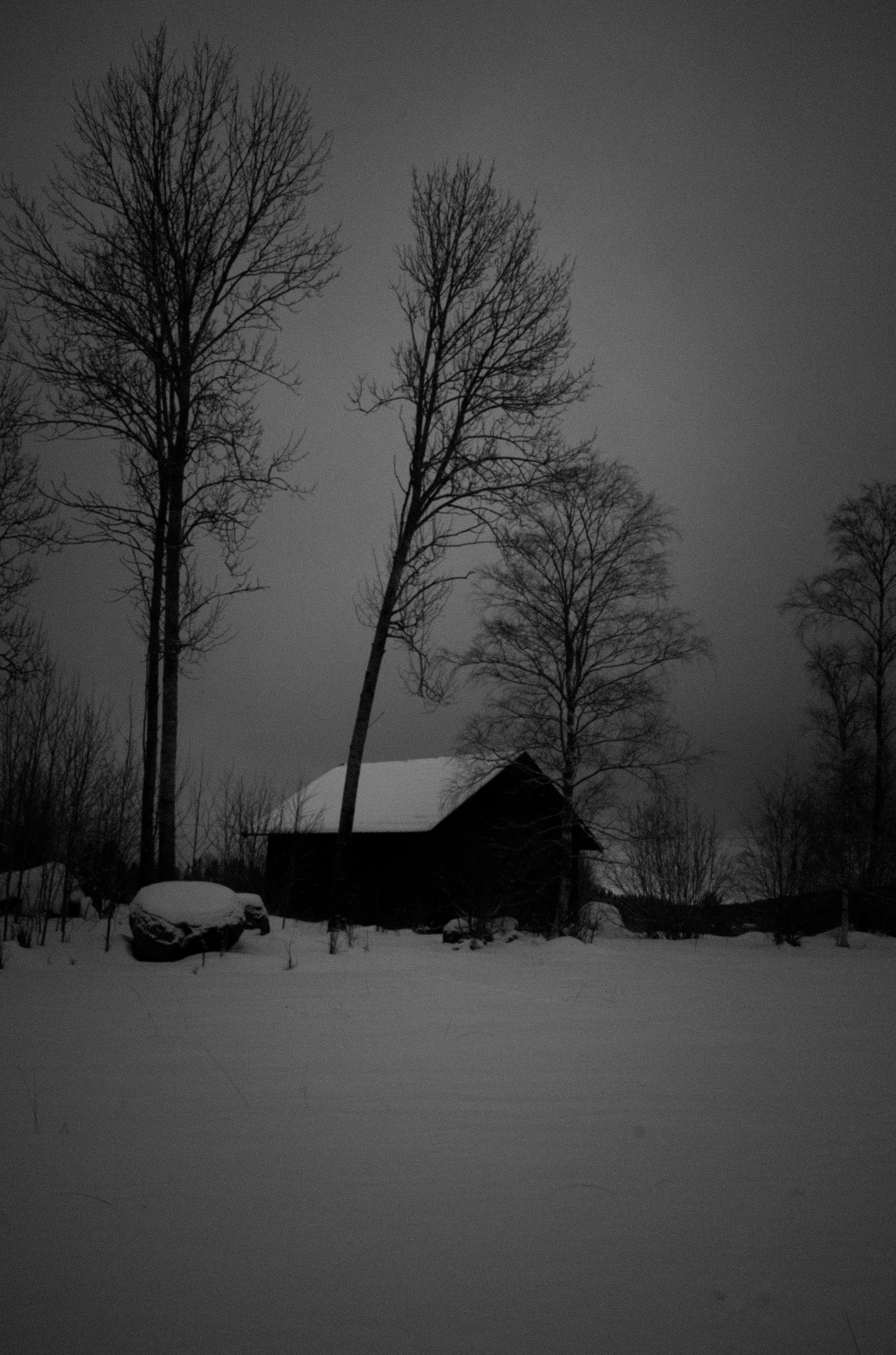 Suède, Sunborn février 2026