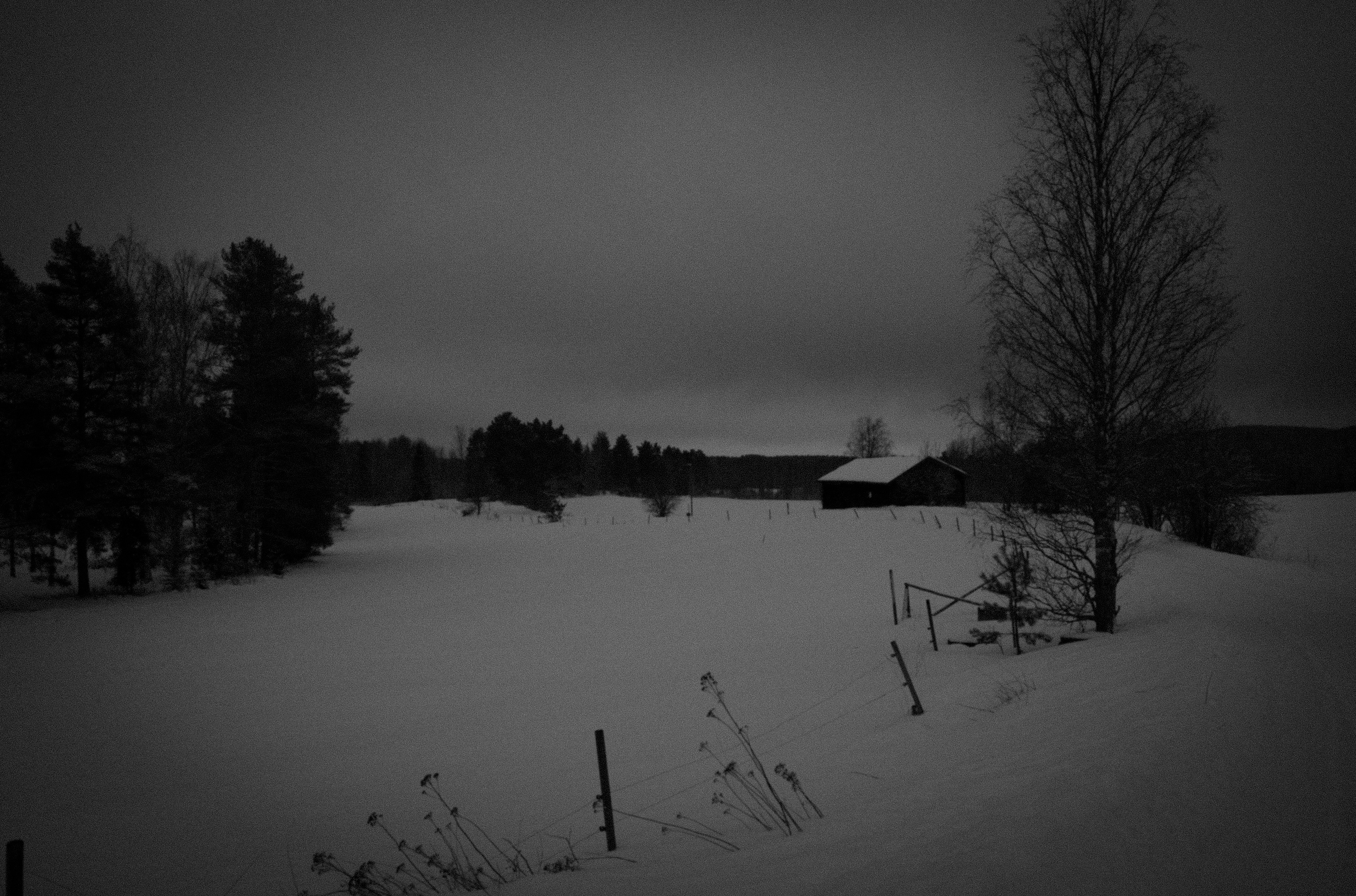 Suède, Sunborn février 2026