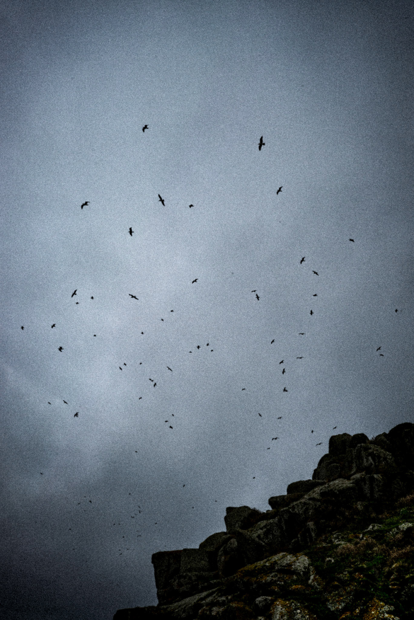 France,  Ile D'Yeu, Vendée