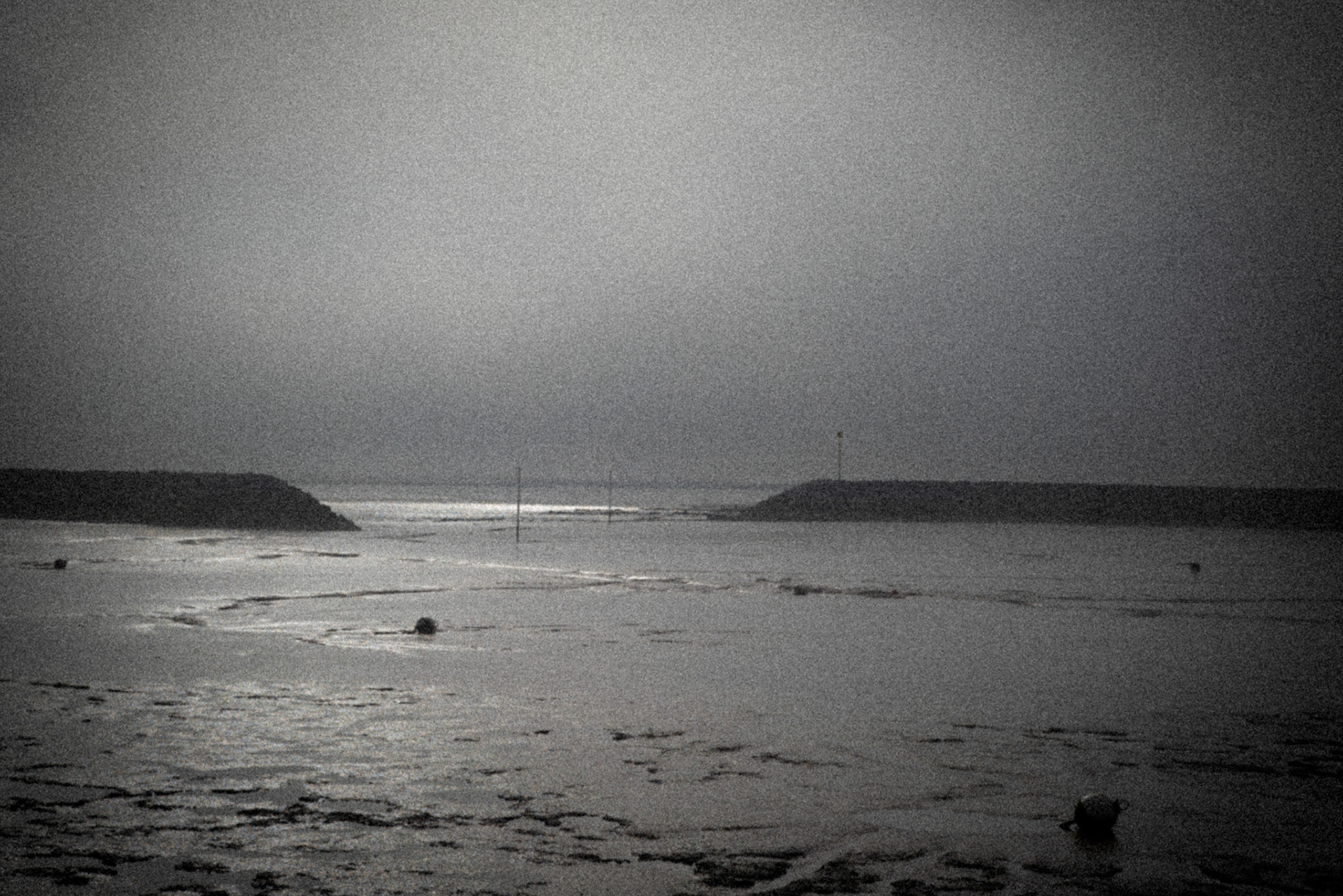 France, Chatelaillon, Charentes Maritimes