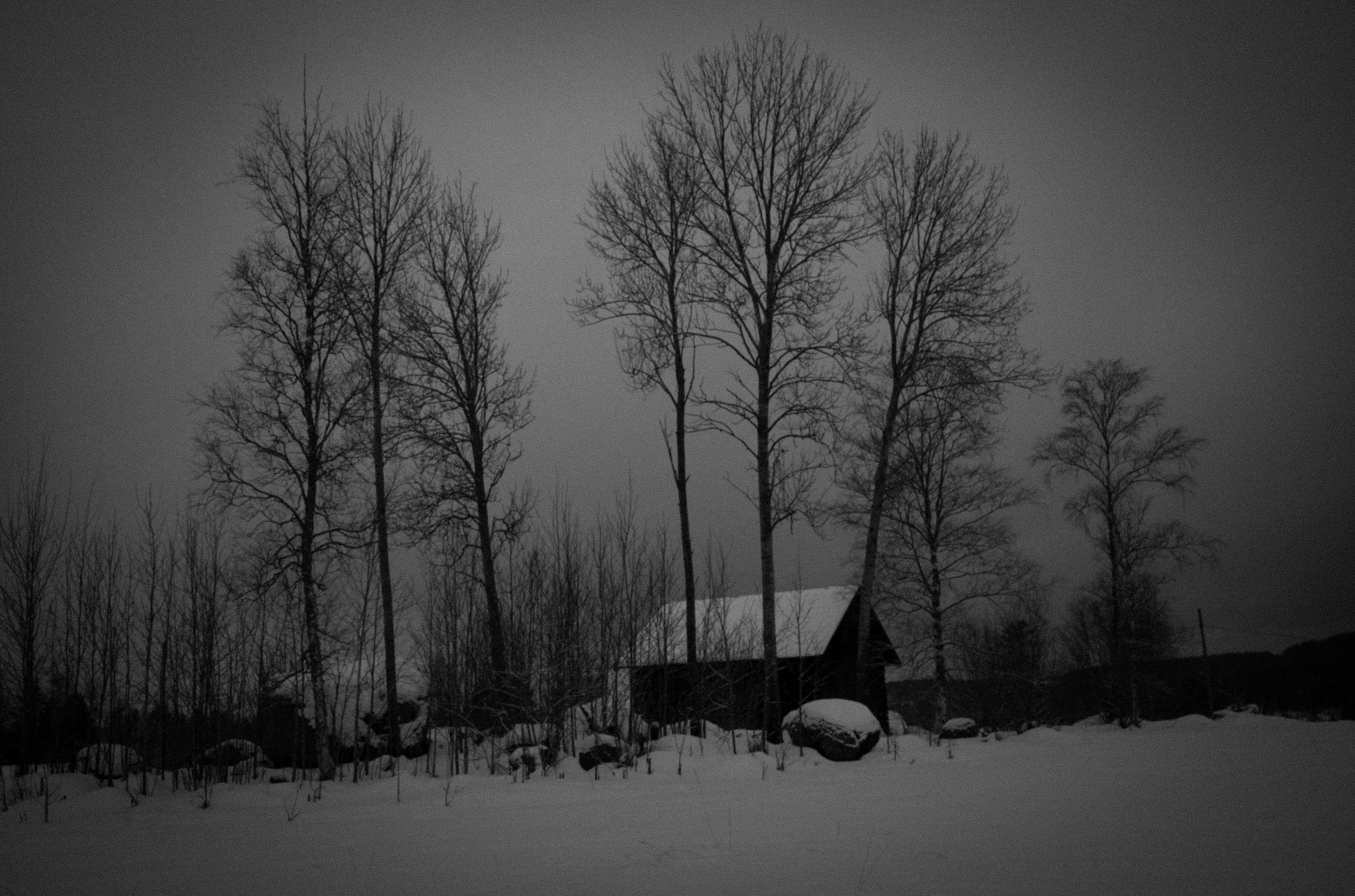 Suède, Sunborn février 2026