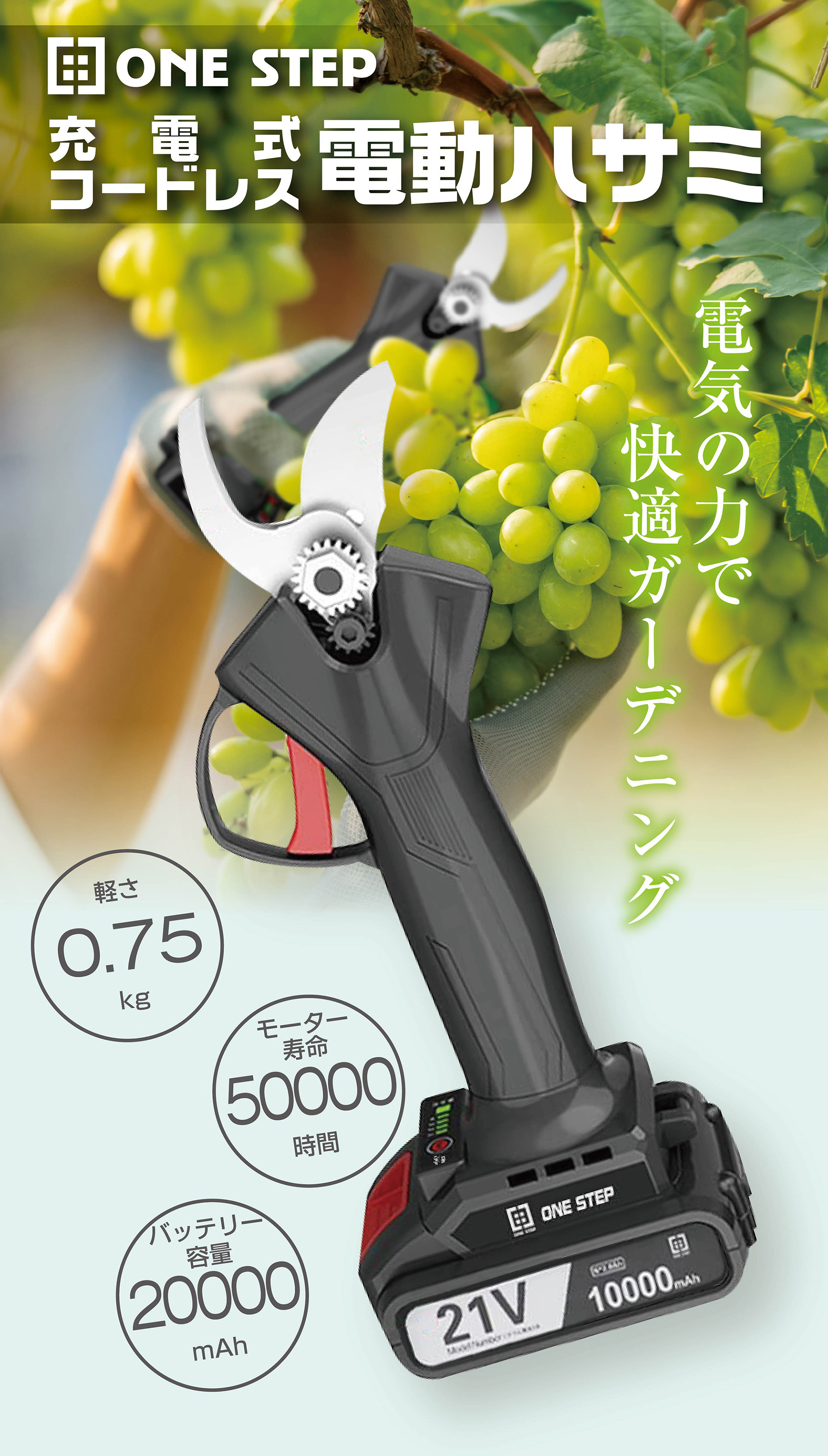 Amazon ランディングページDesign作例