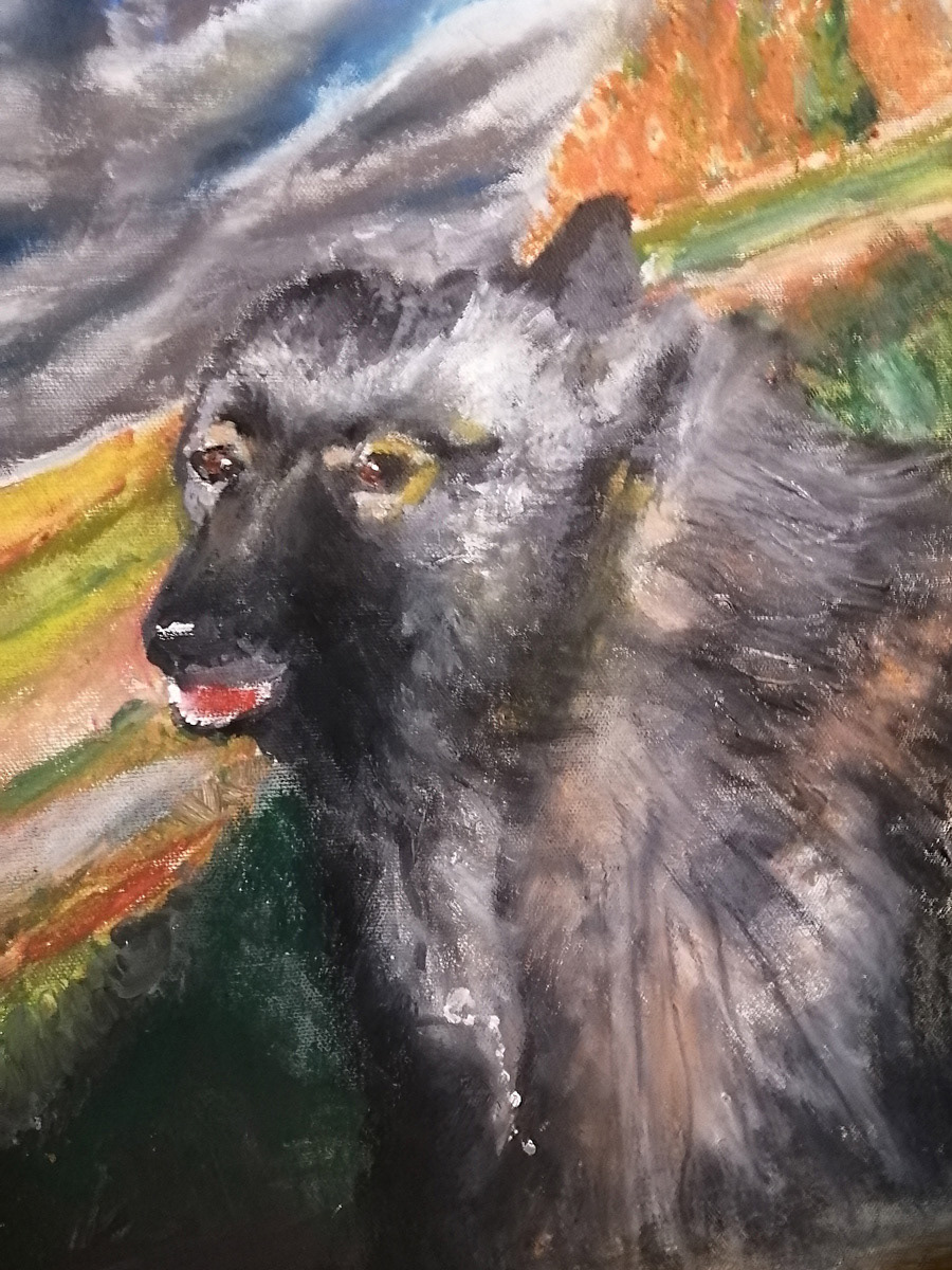 Pet Portrait of Molly, a dog, Edmonton Alberta