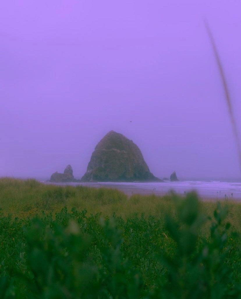 Oregon - February 2022
