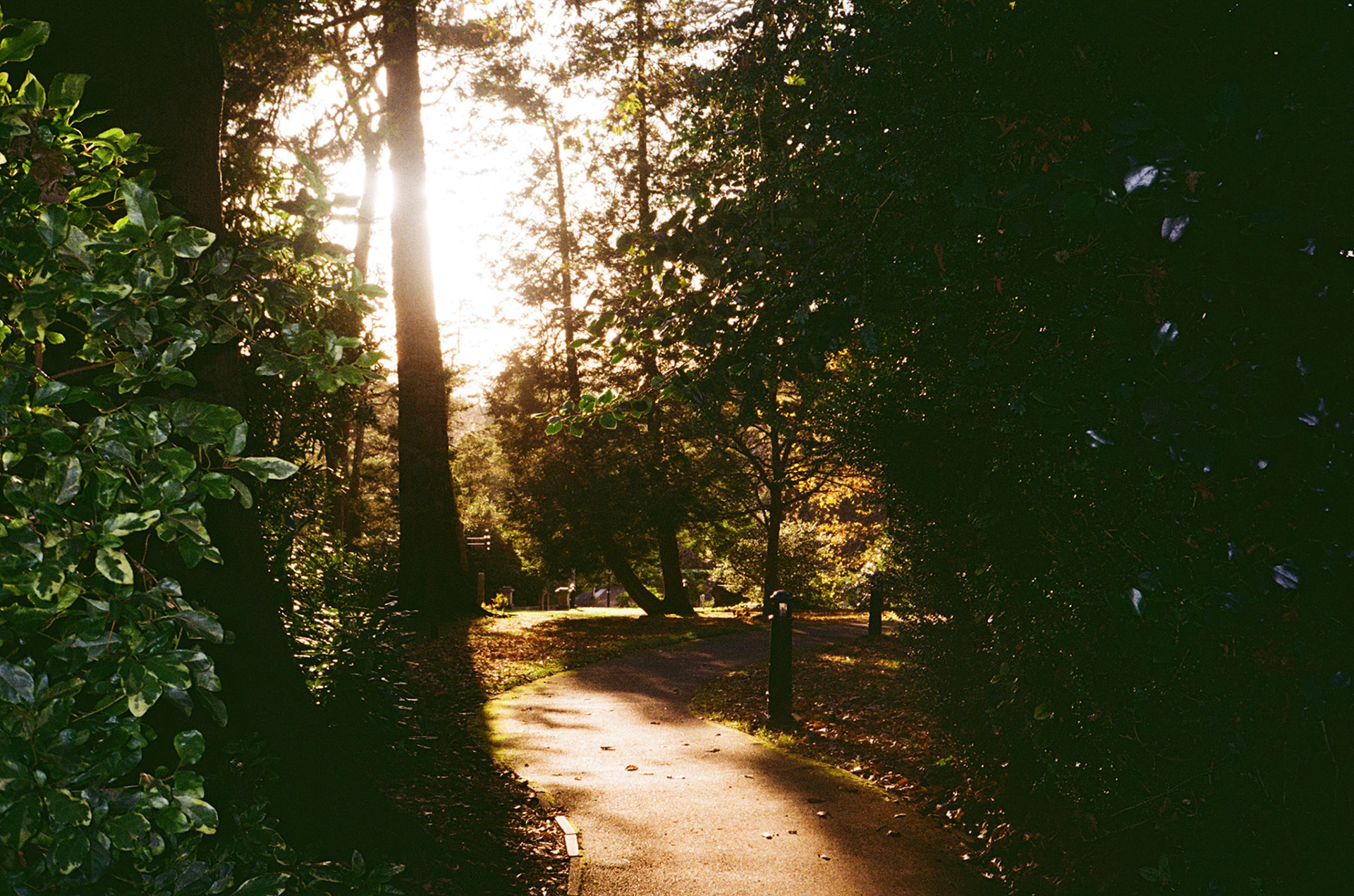 University of Exeter - March 2025