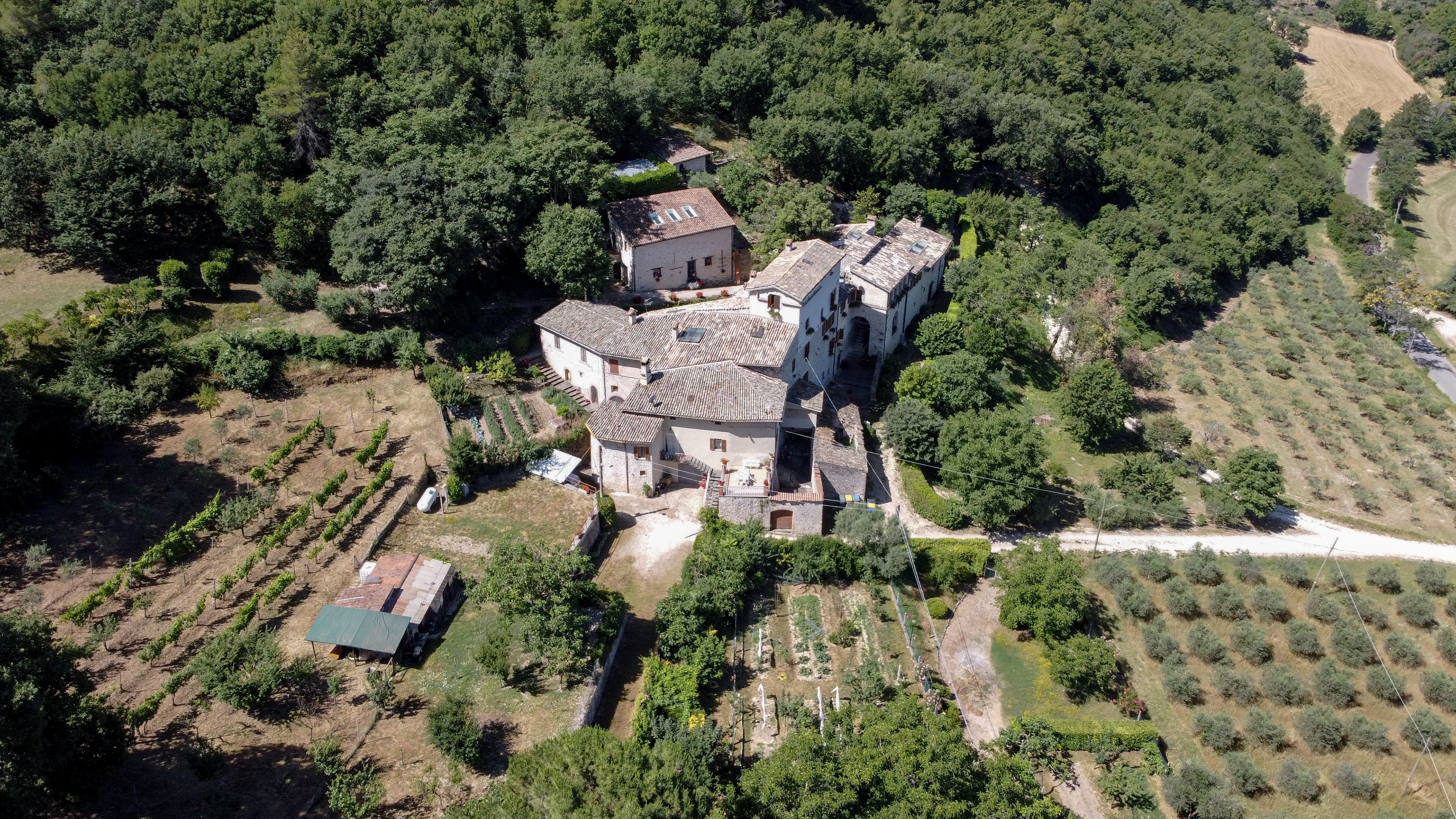 La MaMa Umbria Internationl (Lodge)