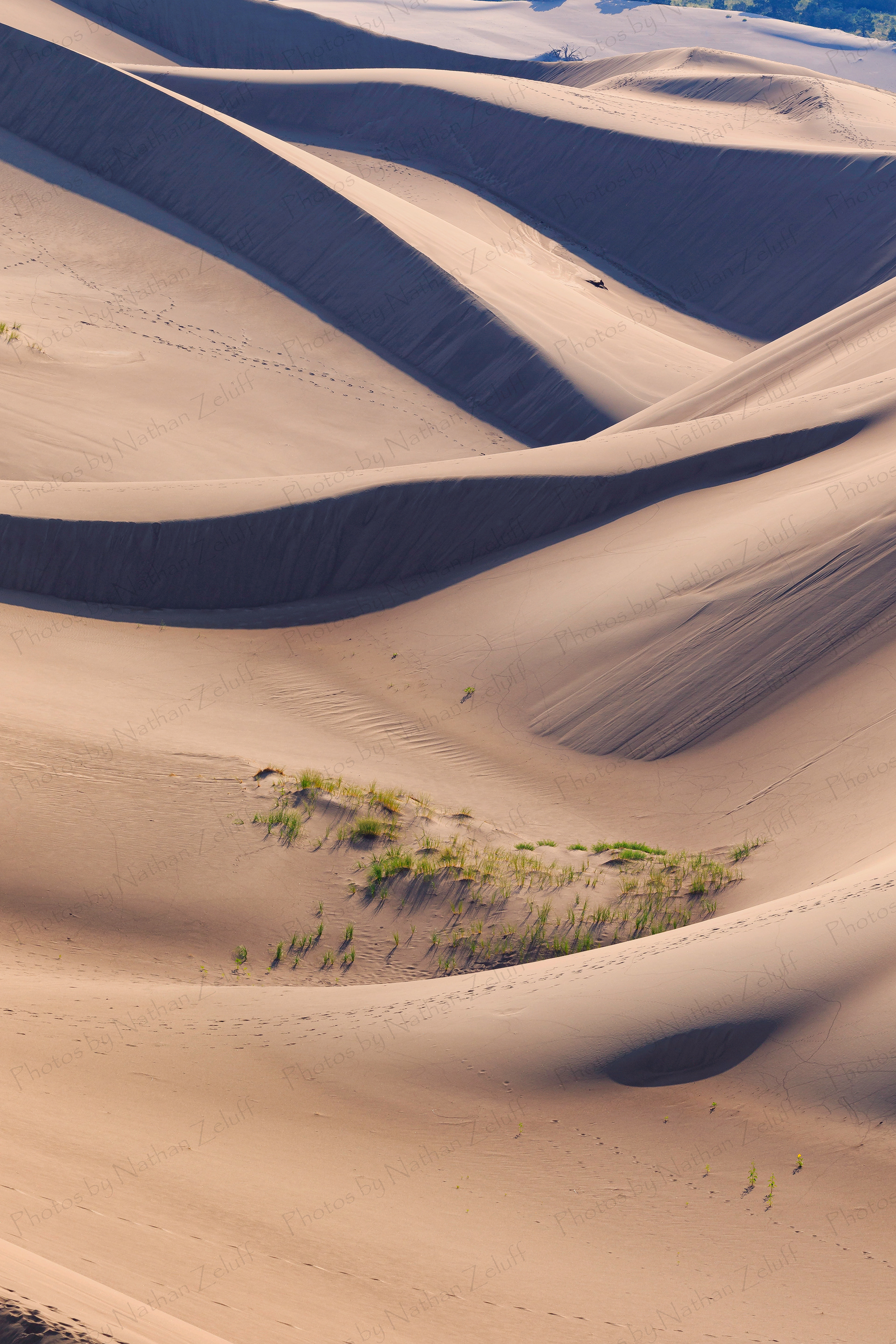 Morning at the Dunes (Great Sand Dunes NP, Colorado)