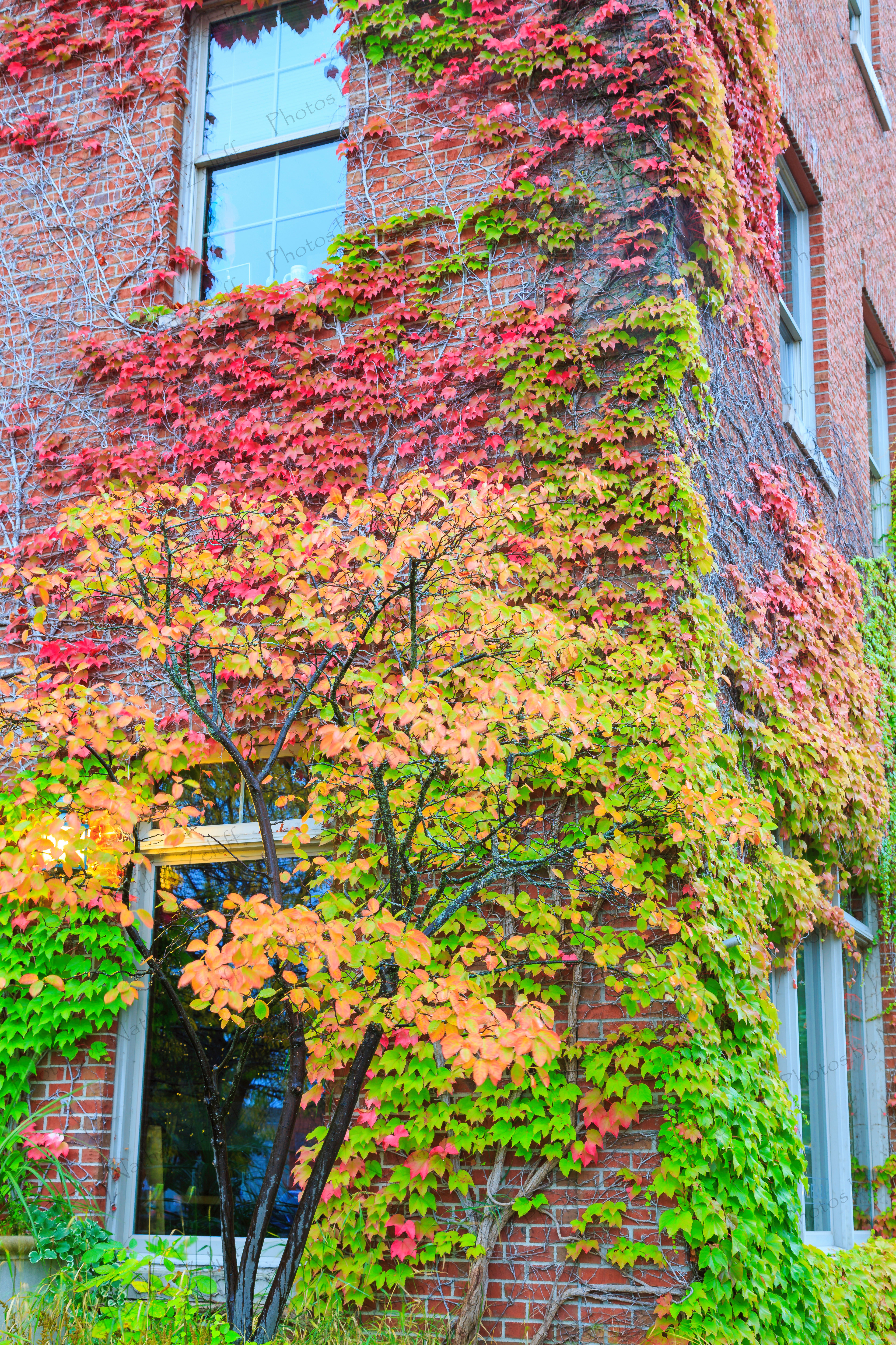 Natural Art (Traverse City, Michigan, USA)
