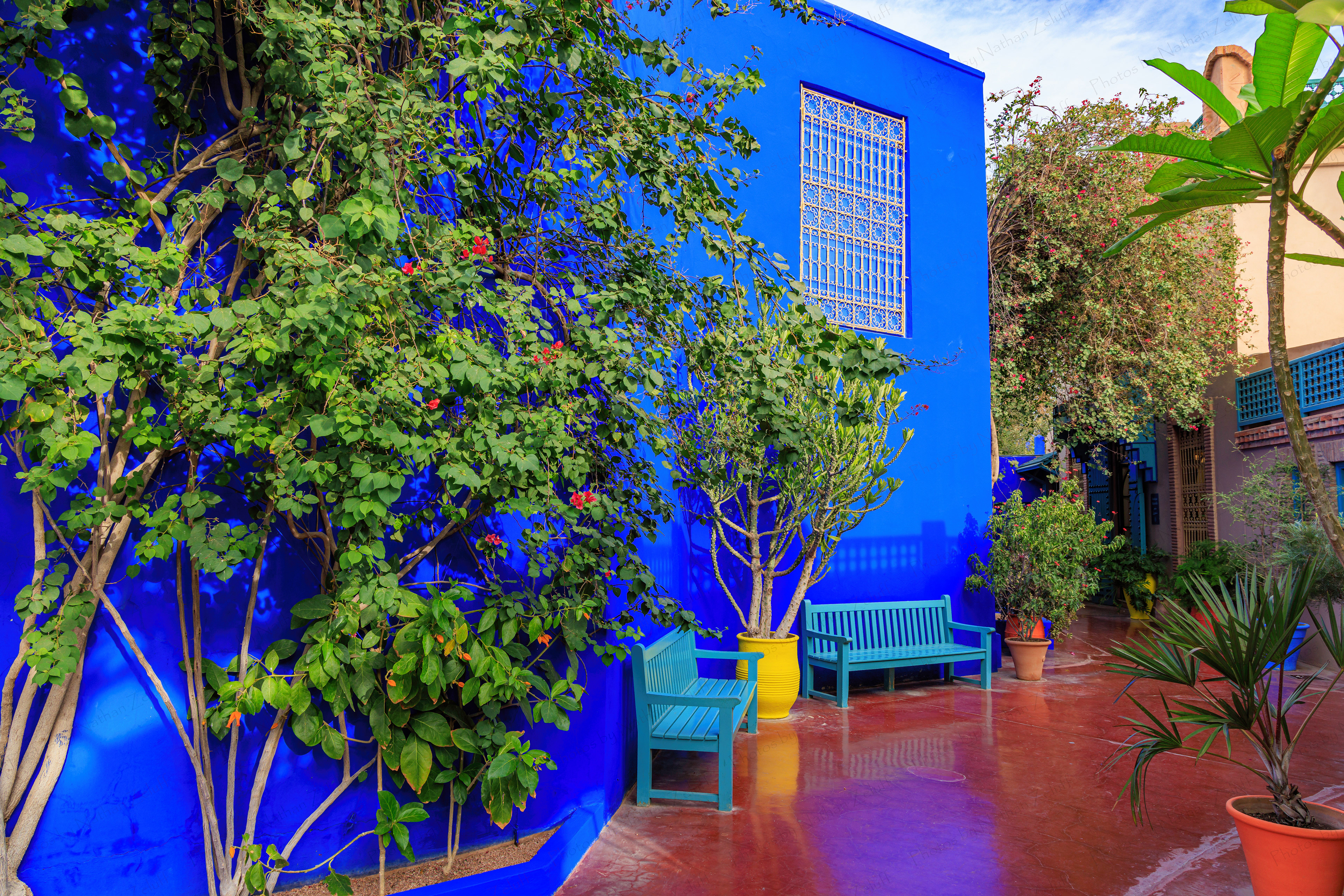 Jardin Majorelle (Marrakesh, Morocco)