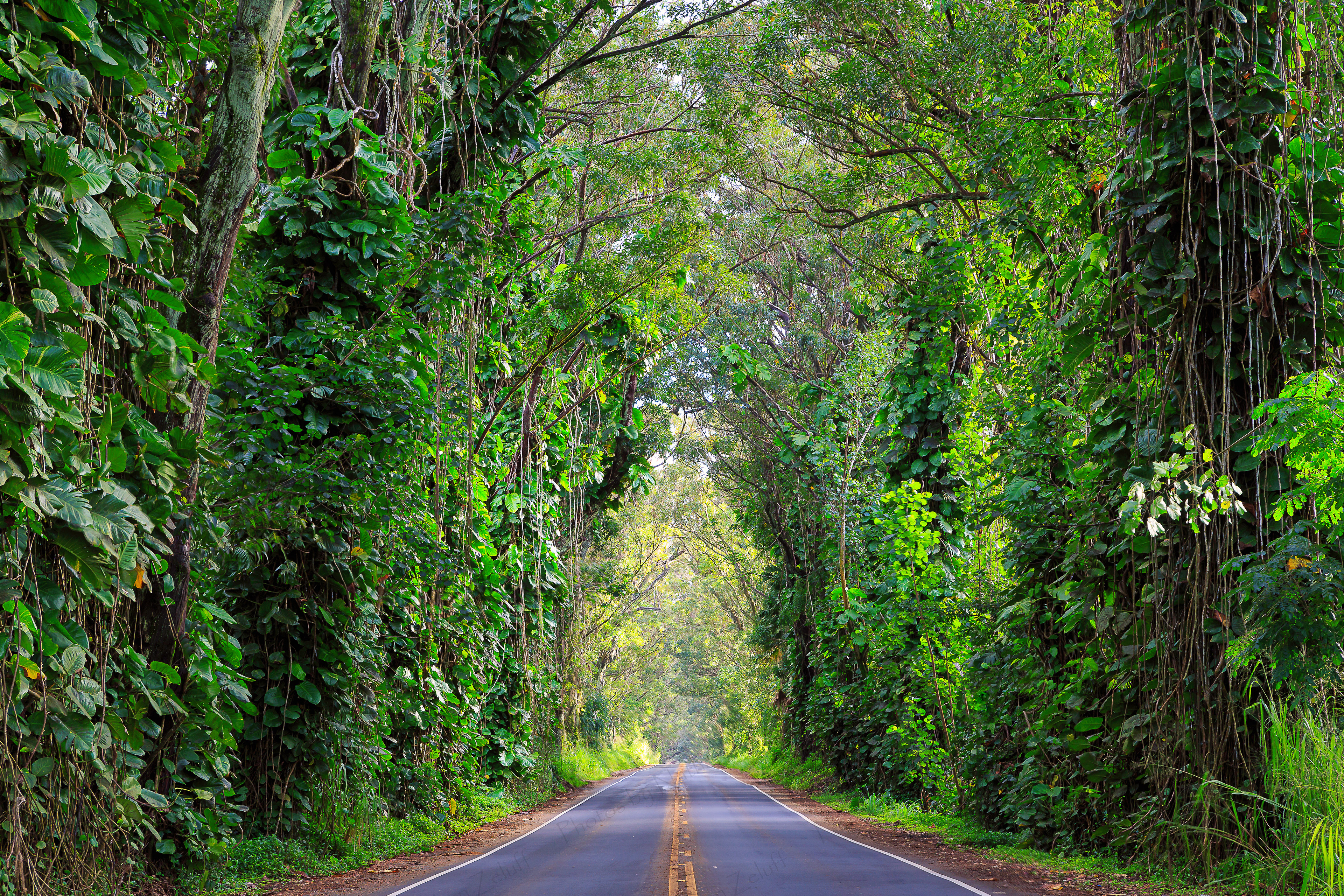 Koloa Tunnel (Kauai, Hawaiian Islands)