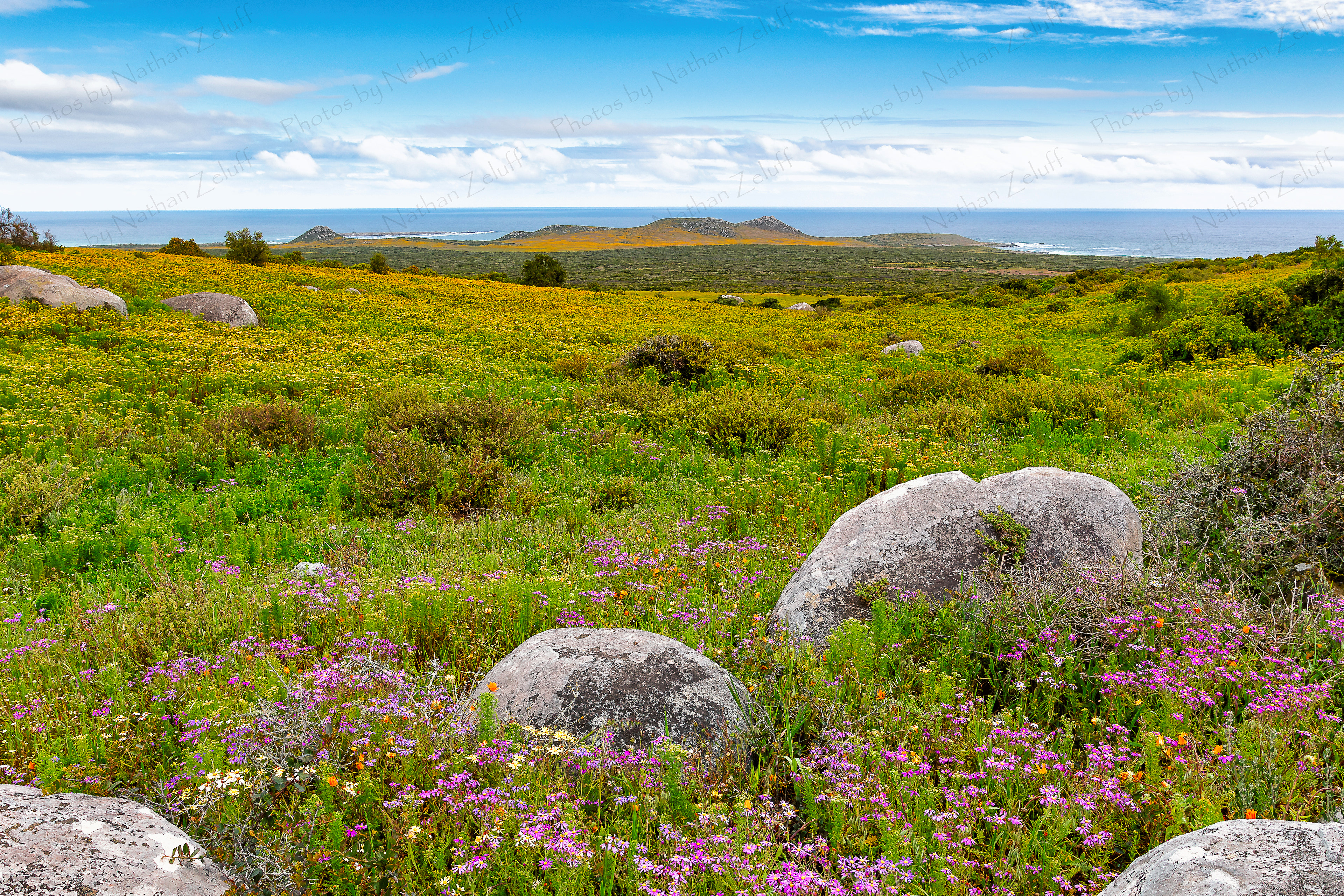 West Coast National Park (Western Cape, South Africa)