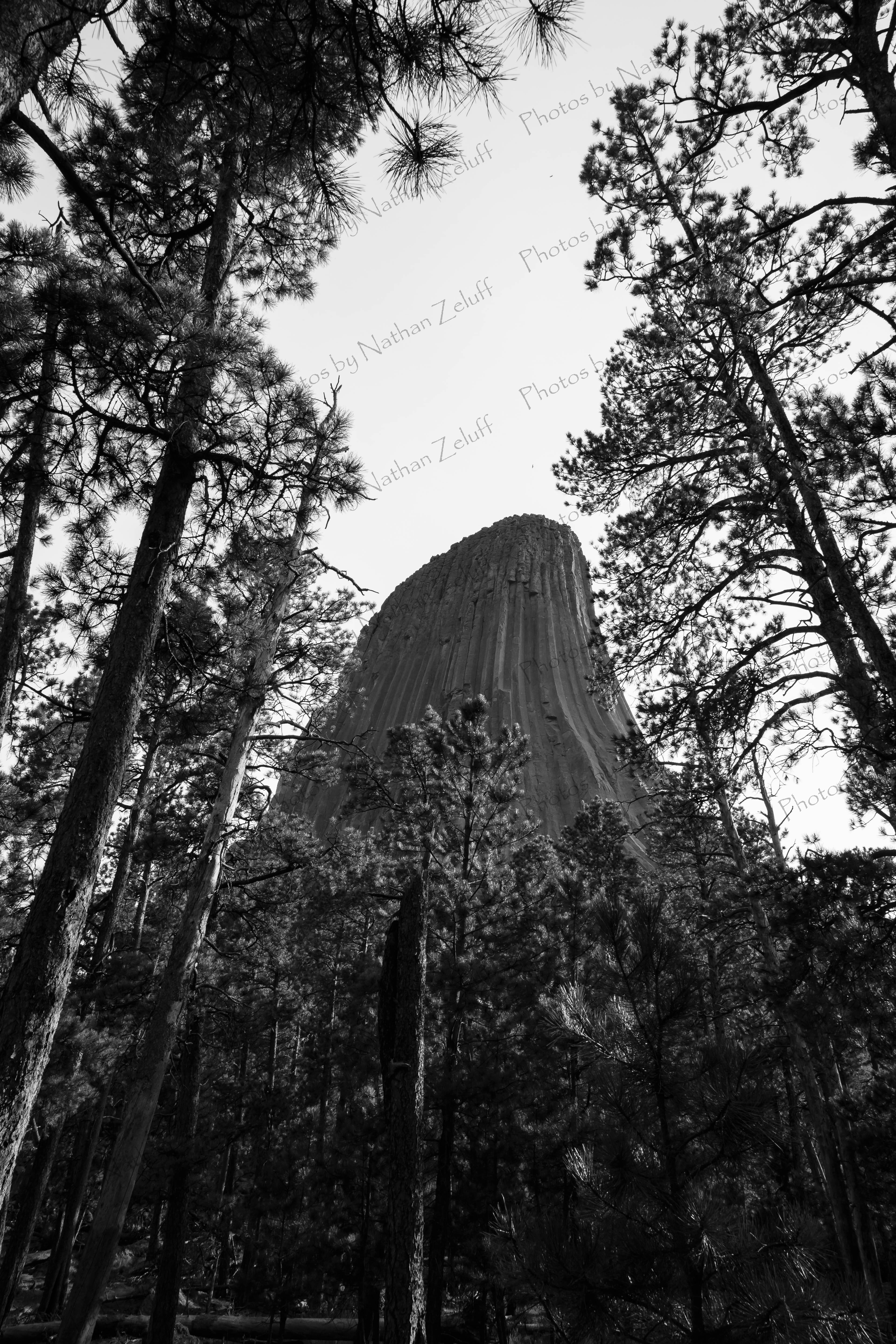 Devils Tower (Wyoming, USA)