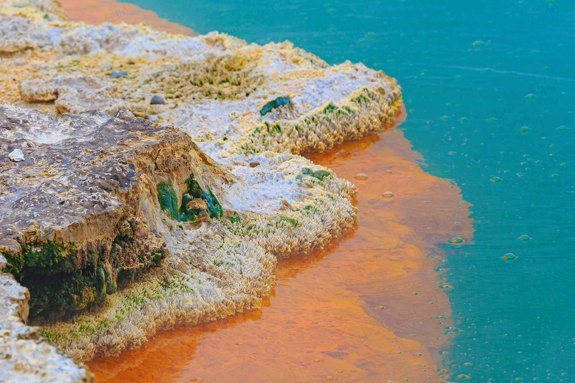 Champagne Pool (Rotorua, New Zealand)