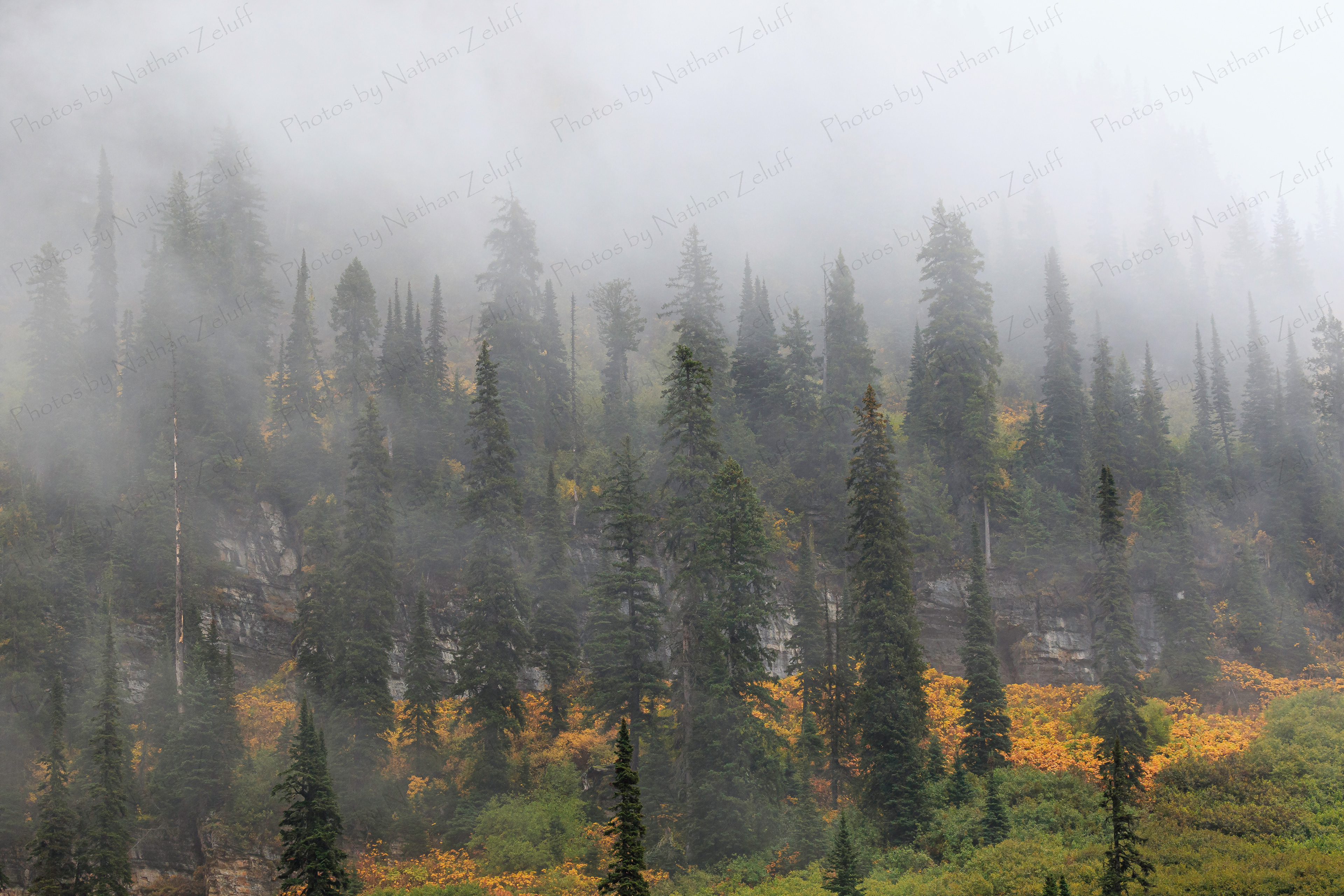 Autumn Fog (Glacier NP, Montana)
