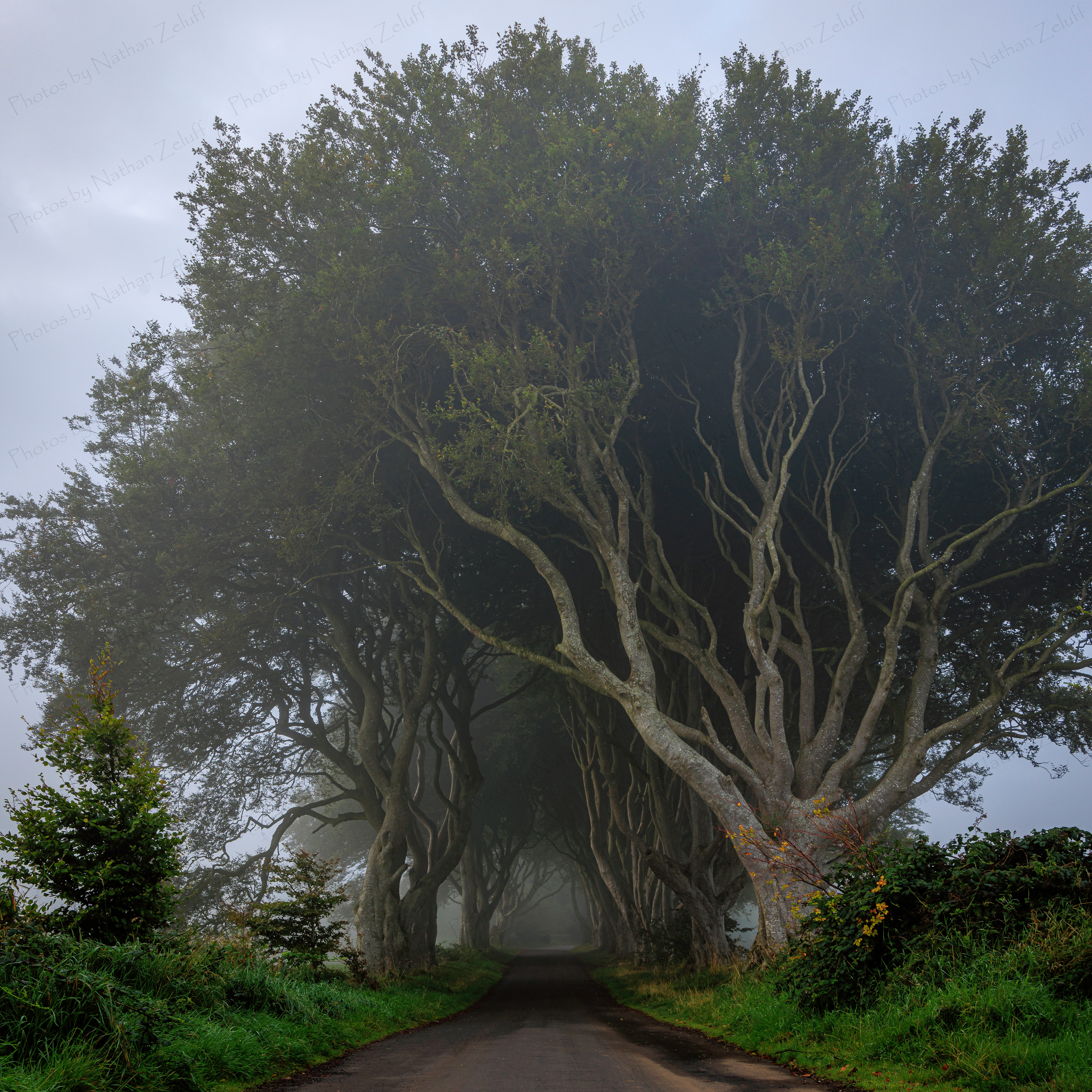 Spooky Road (Northern Ireland, UK)