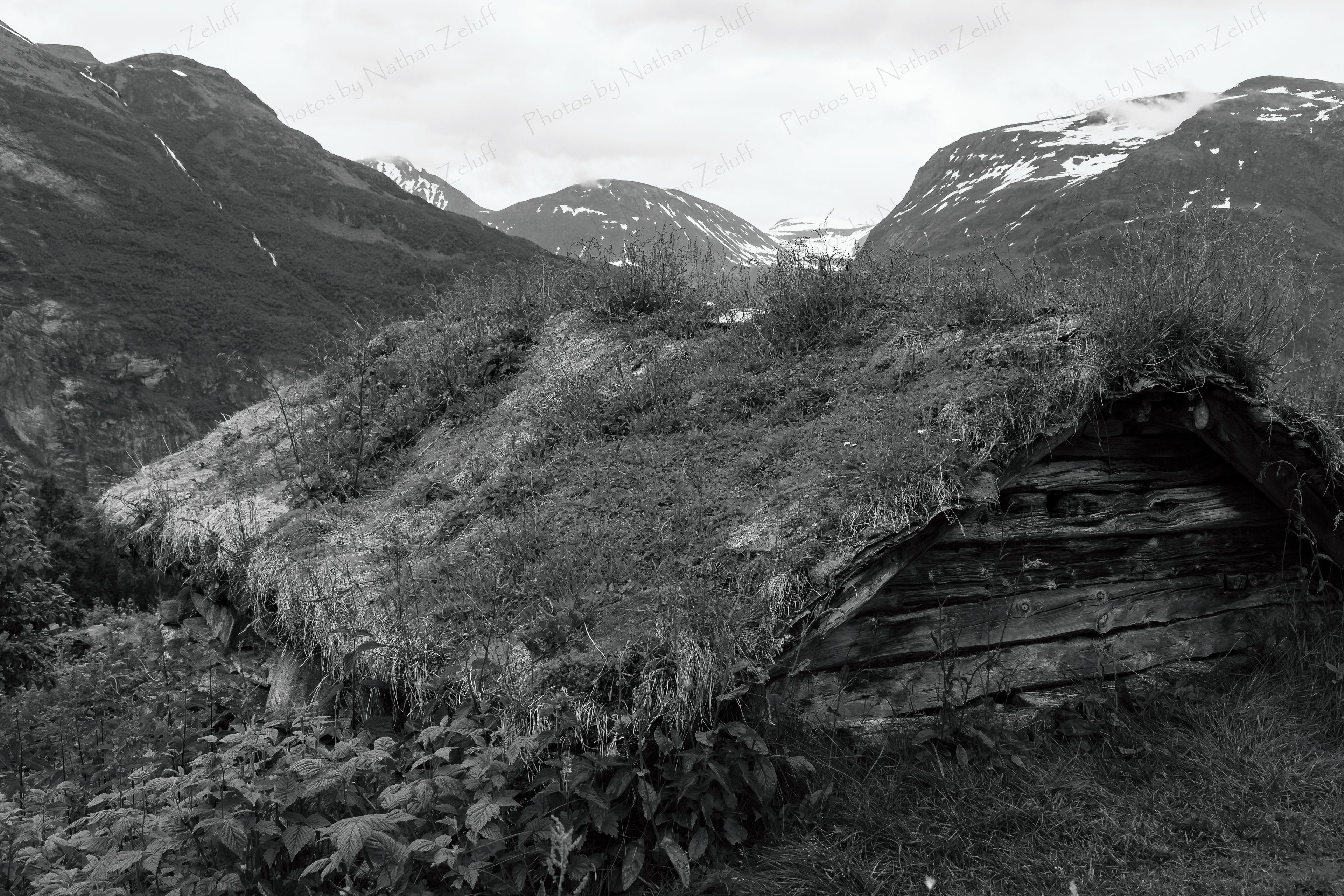 Thatch Roof (Western Norway)