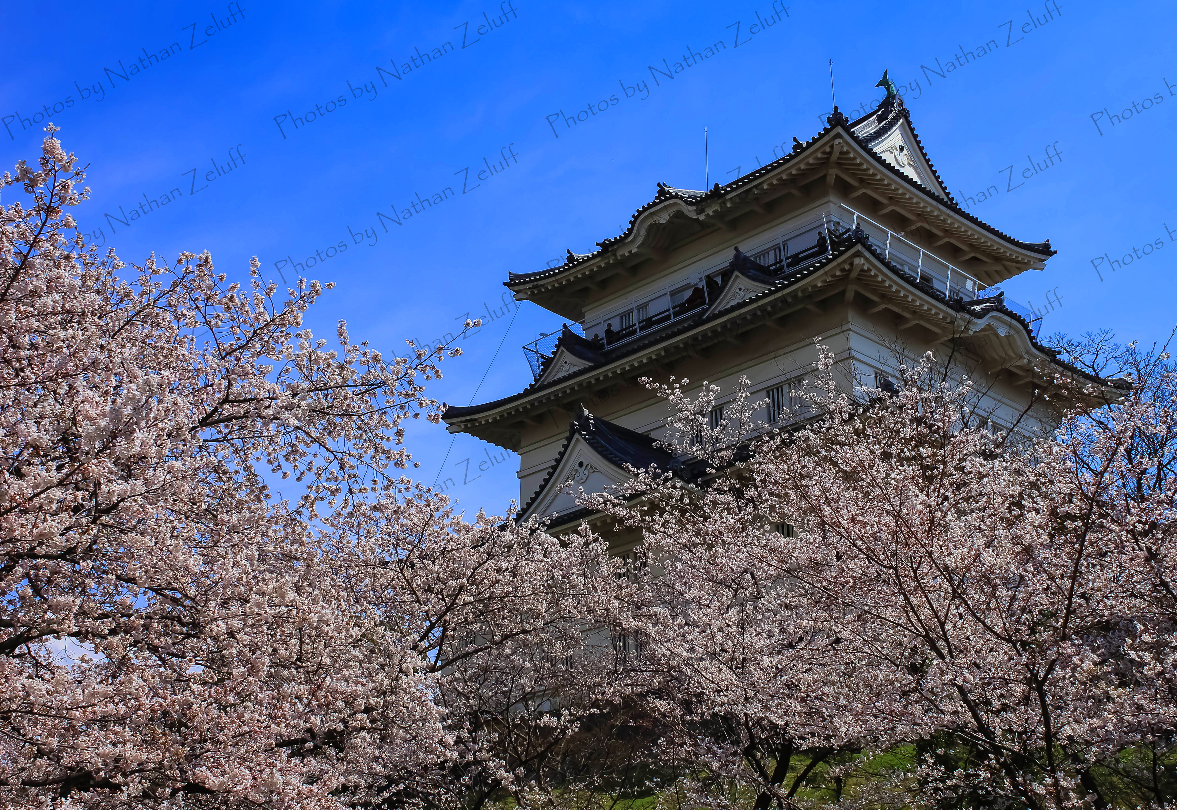 Odawara Castle (Odawara, Japan)