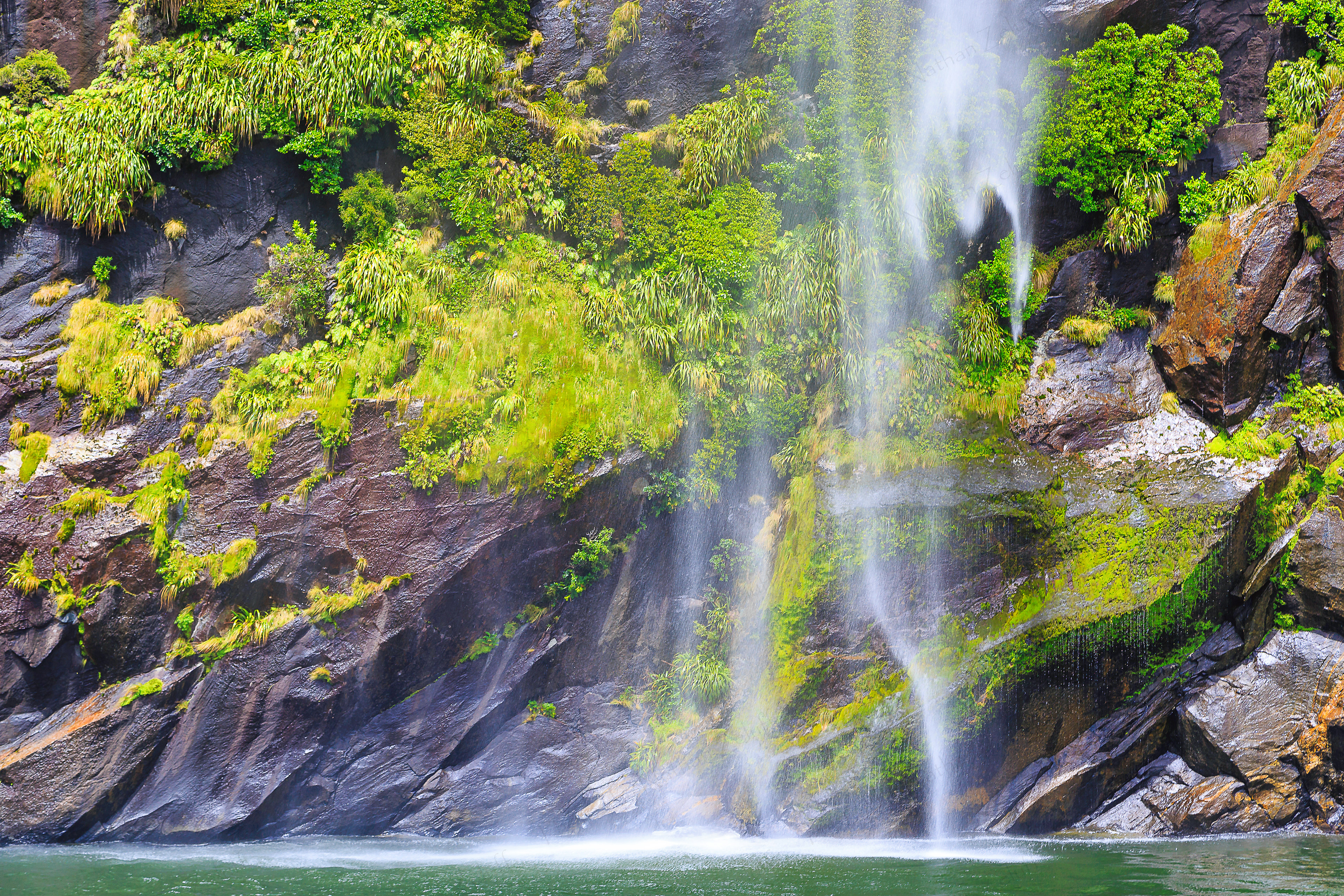 Temporary Waterfall (Fiordland NP, New Zealand)