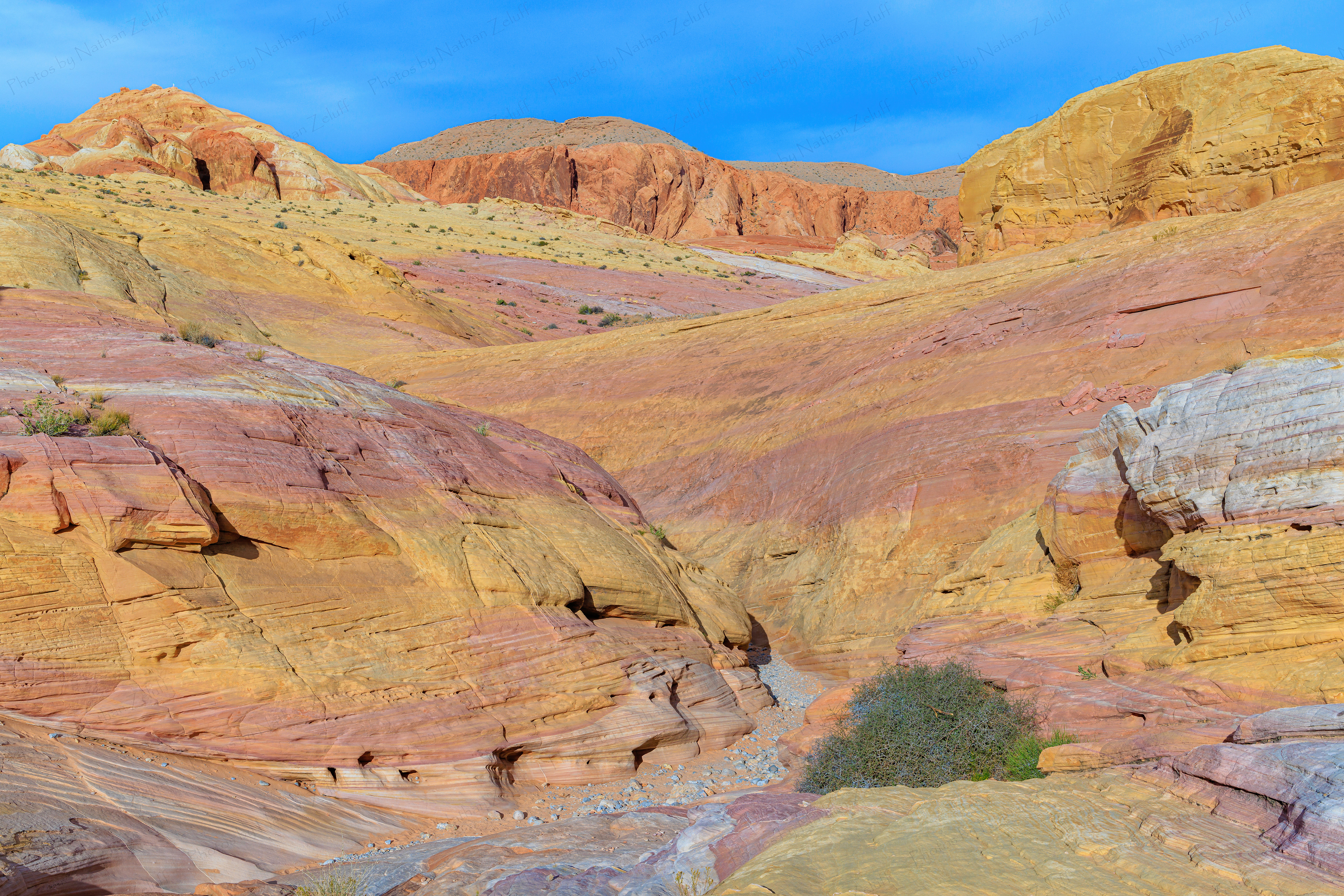 Color Spectrum (Valley of Fire SP, Nevada)