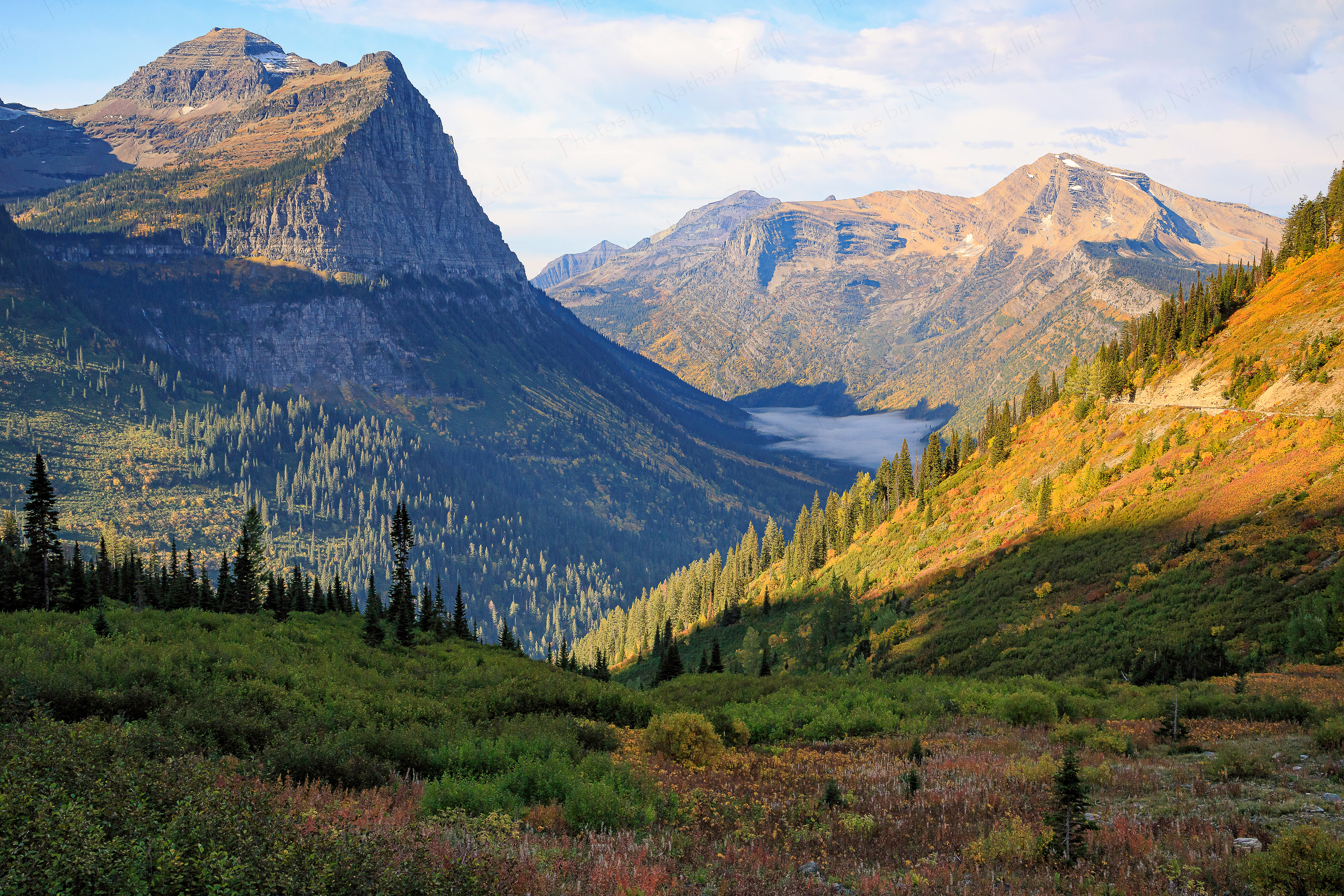 Glacier Beauty (Glacier NP, Montana)