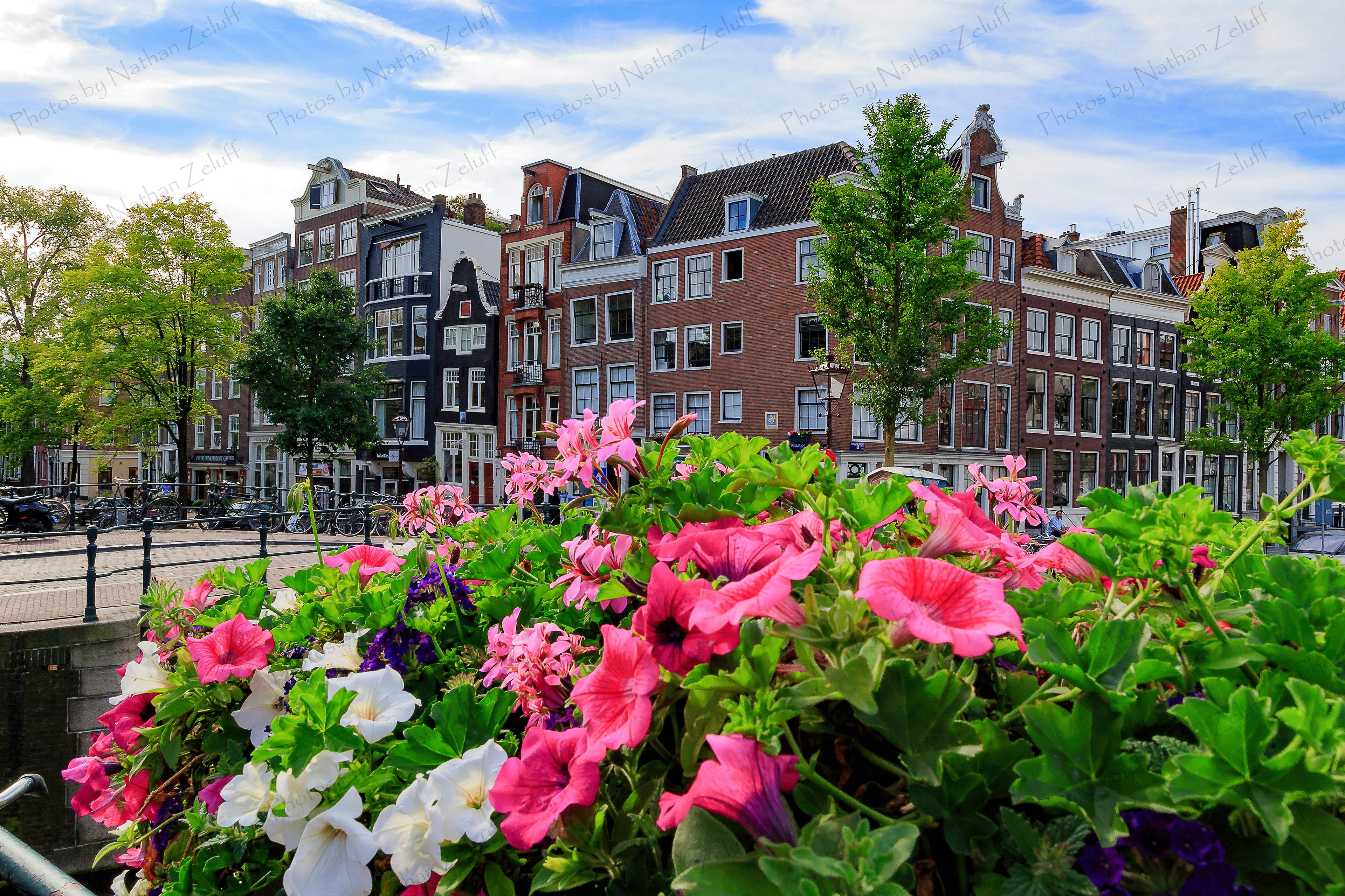Amsterdam Architecture (Amsterdam, Netherlands)