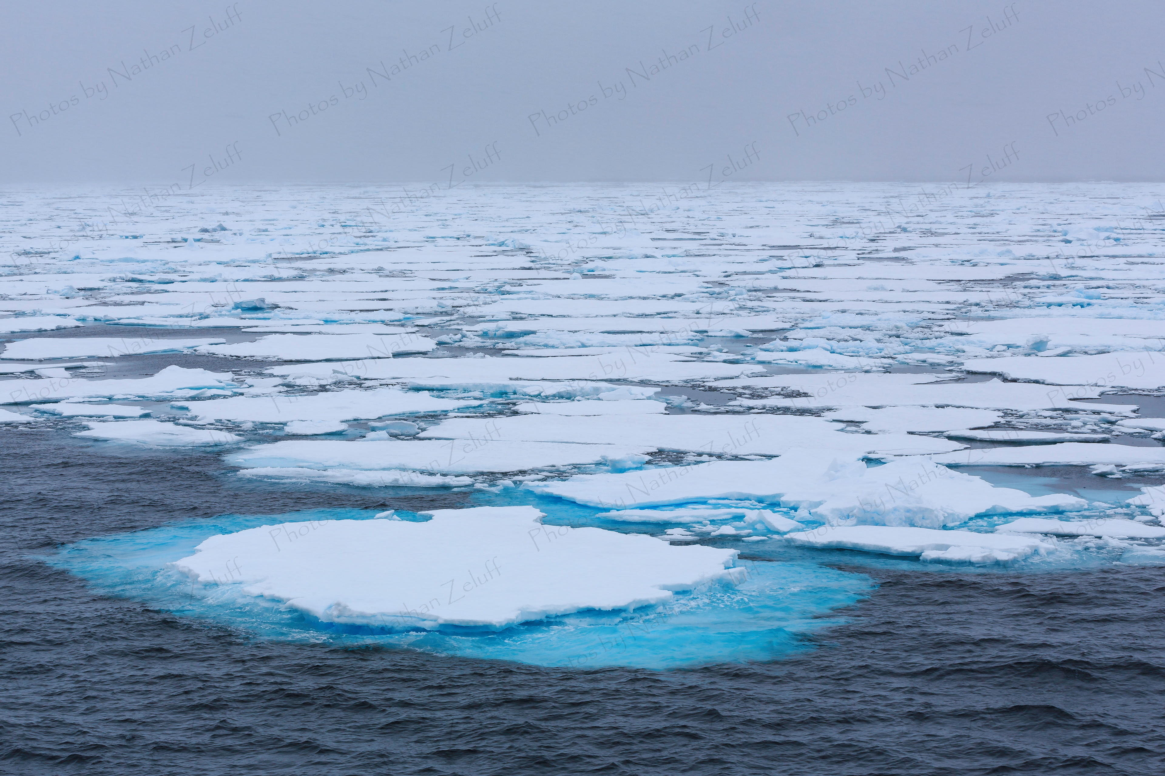 Along the Sea Ice Edge (Arctic Ocean)