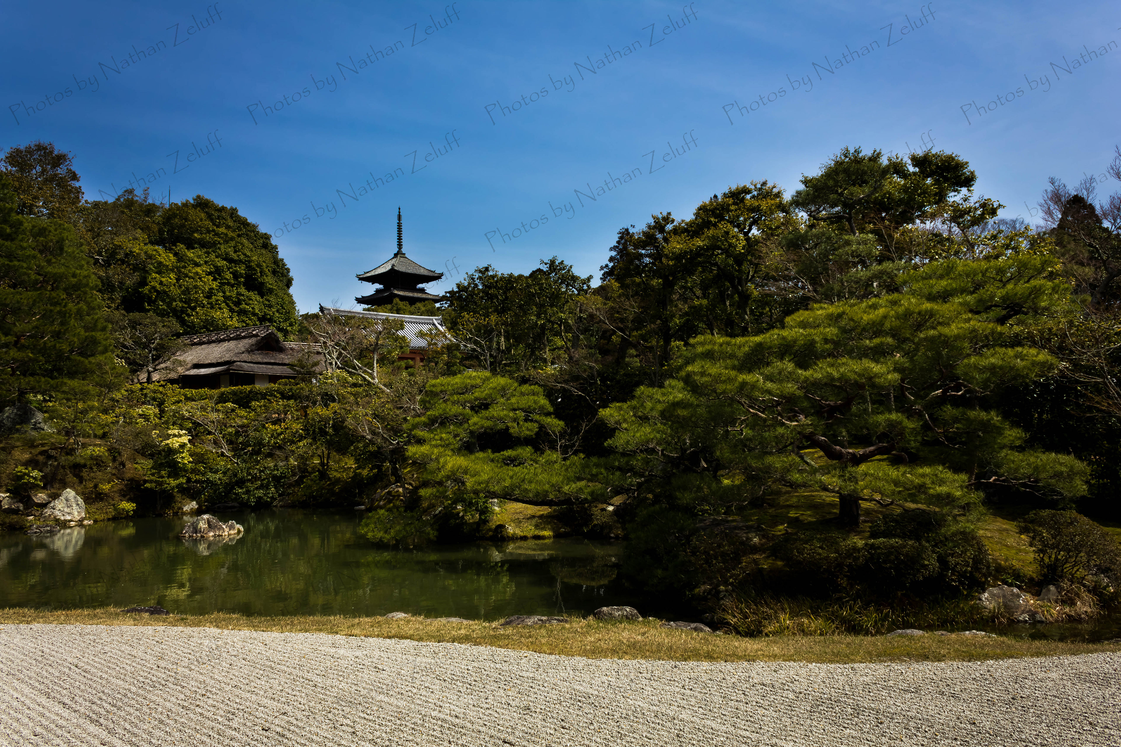Ninna-ji Gardens (Kyoto, Japan)