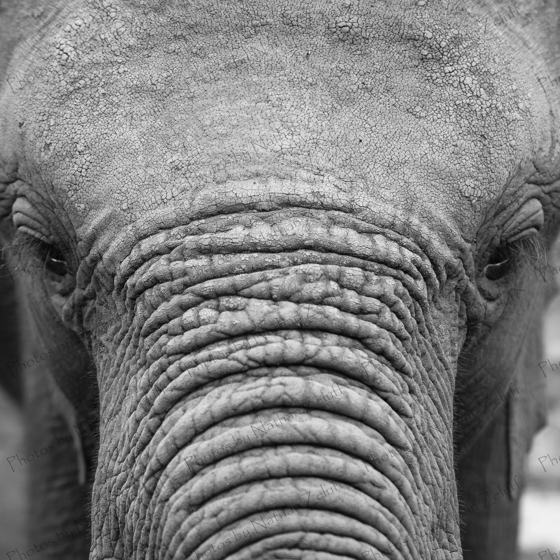 Orphan (Nairobi, Kenya)
