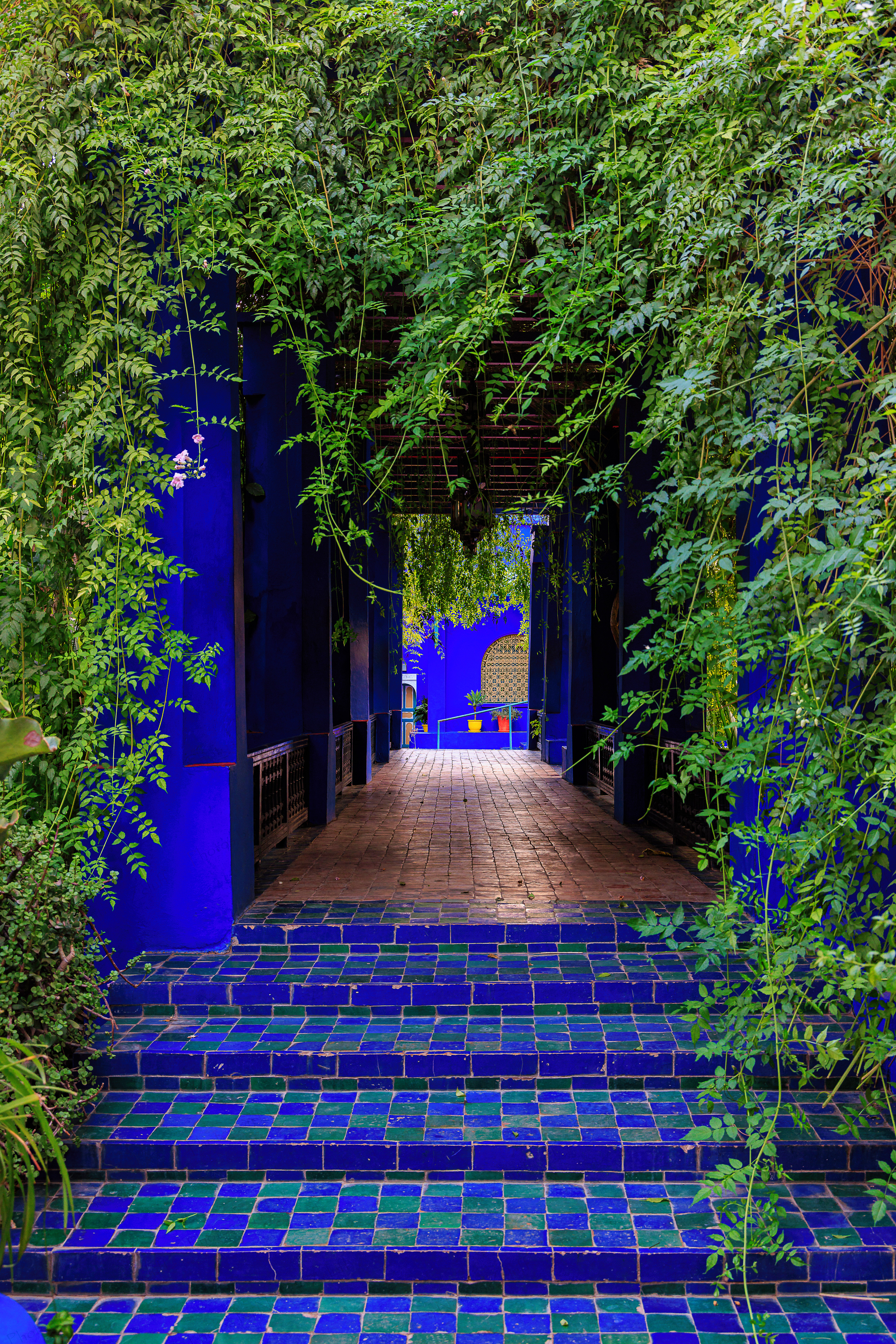 Marrakesh Gardens (Morocco)