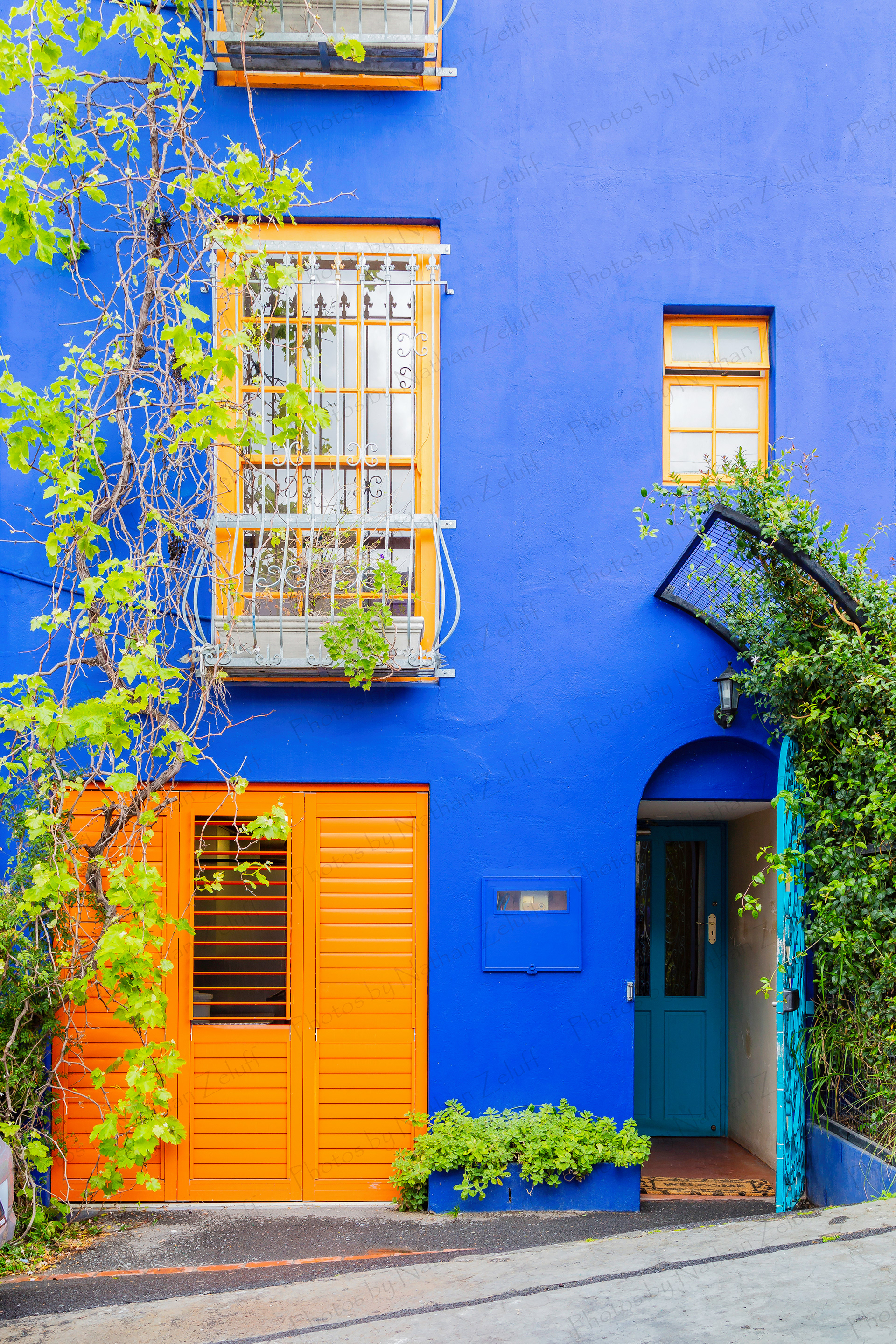 La Rose (Cape Town, South Africa)