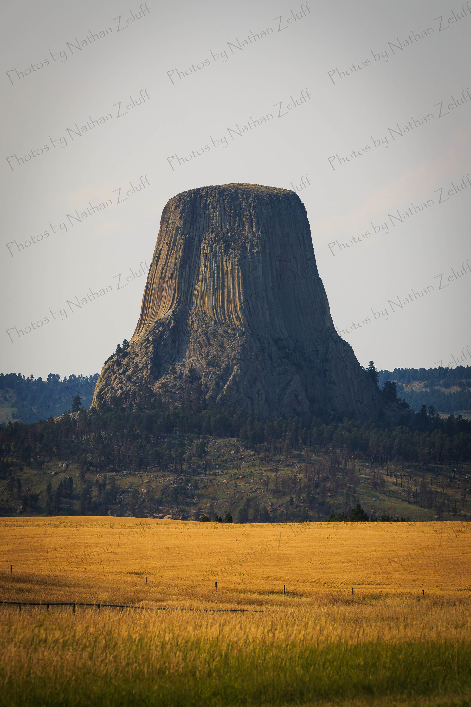 Devils Tower South View (Wyoming, USA)