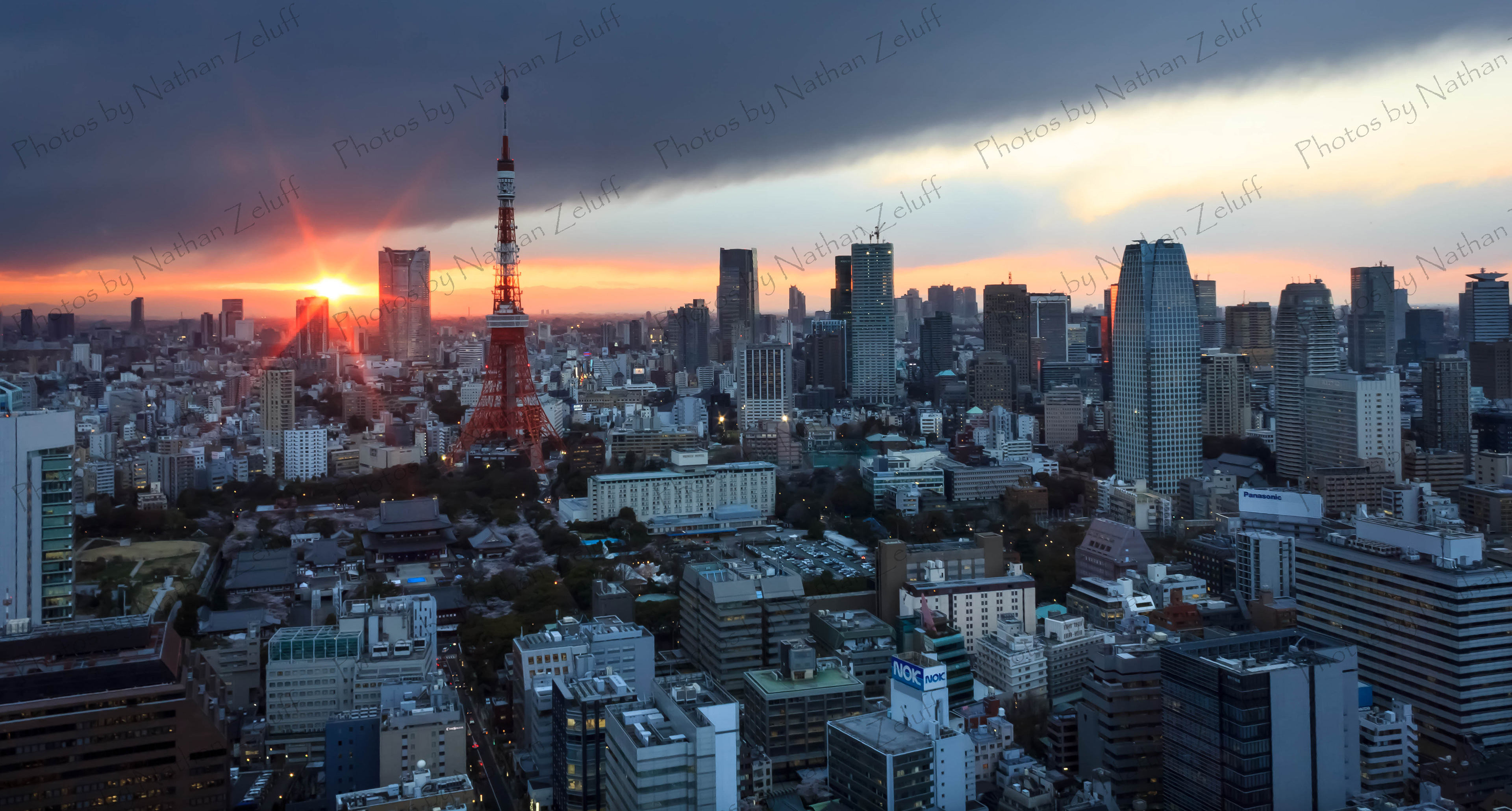 Tokyo Skyline (Tokyo, Japan)