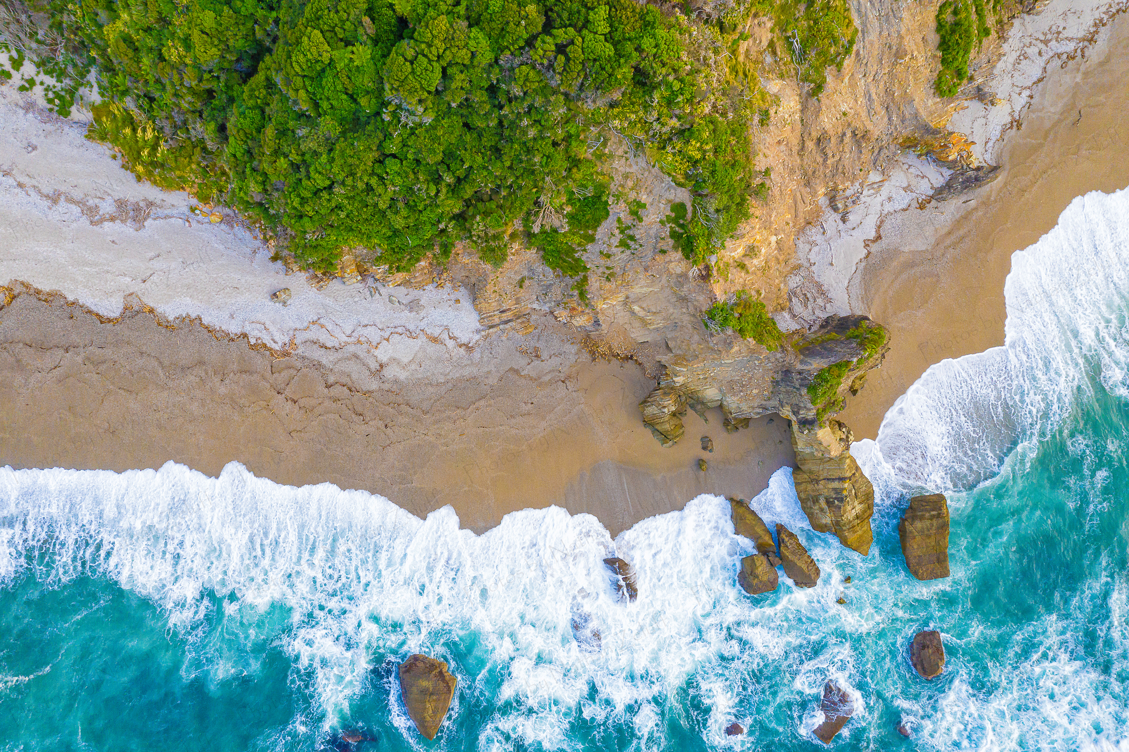 West Coast (South Island, New Zealand)