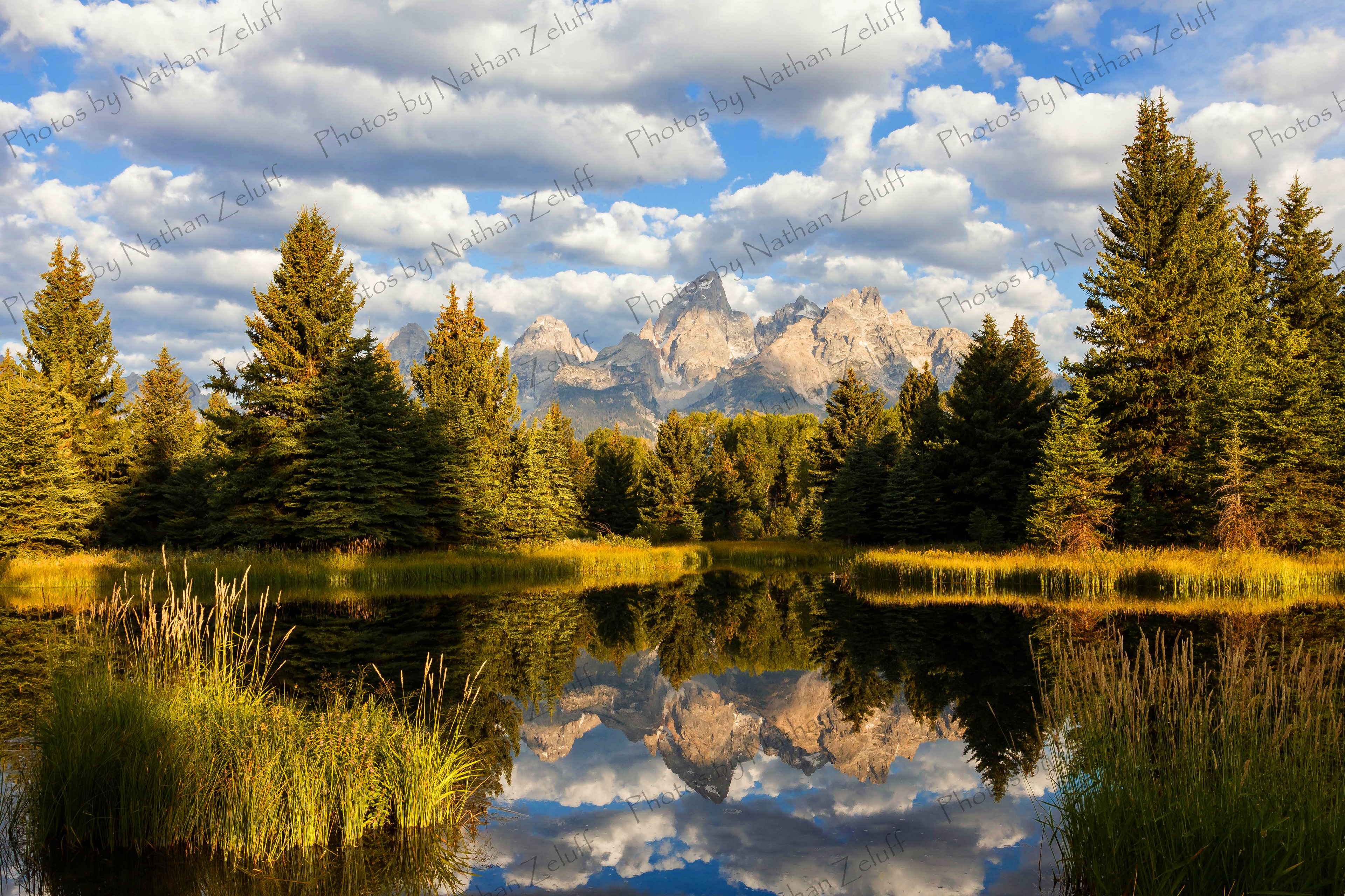 Teton Reflections (Grand Teton NP, Wyoming)