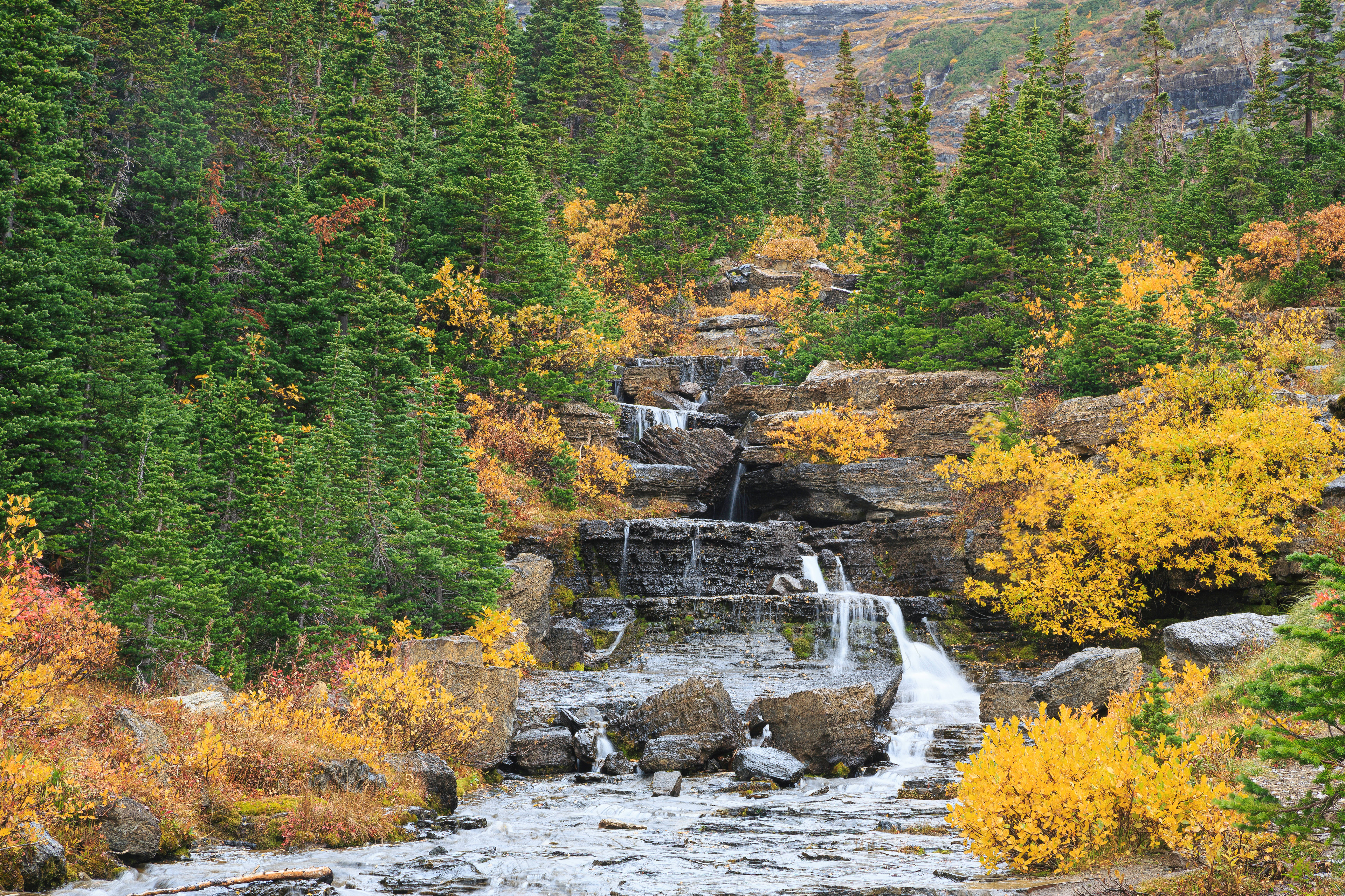 Lunch Creek (Glacier NP, Montana)