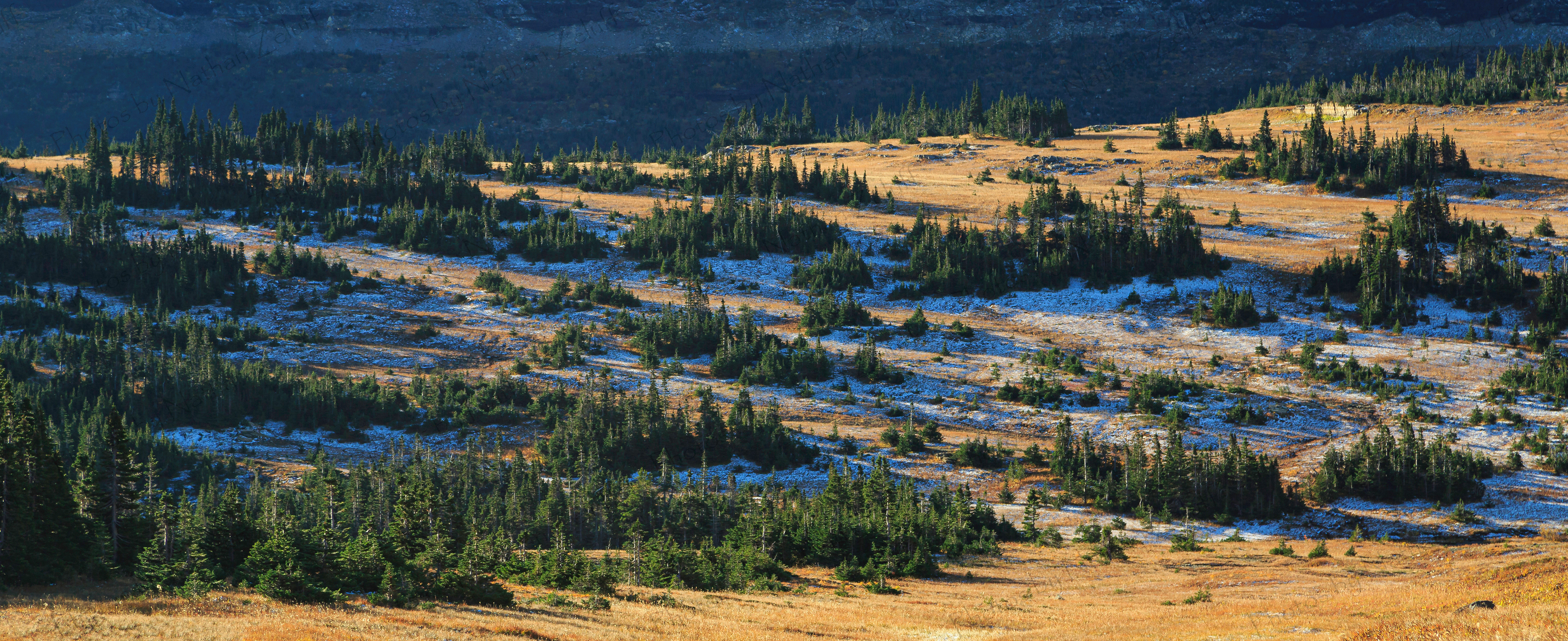 Logan Pass (Glacier NP, Montana)