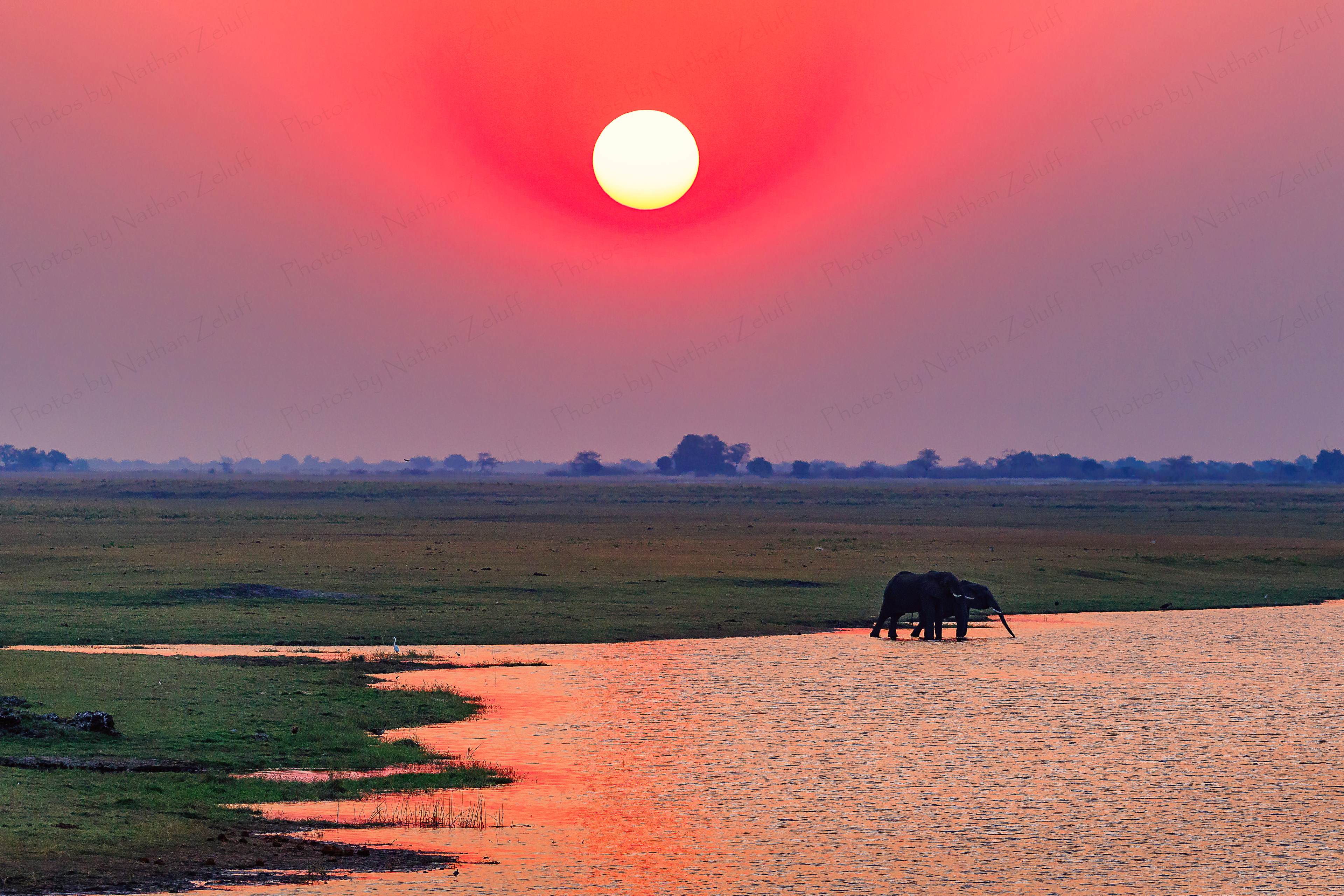 River Glow (Chobe NP, Botswana)