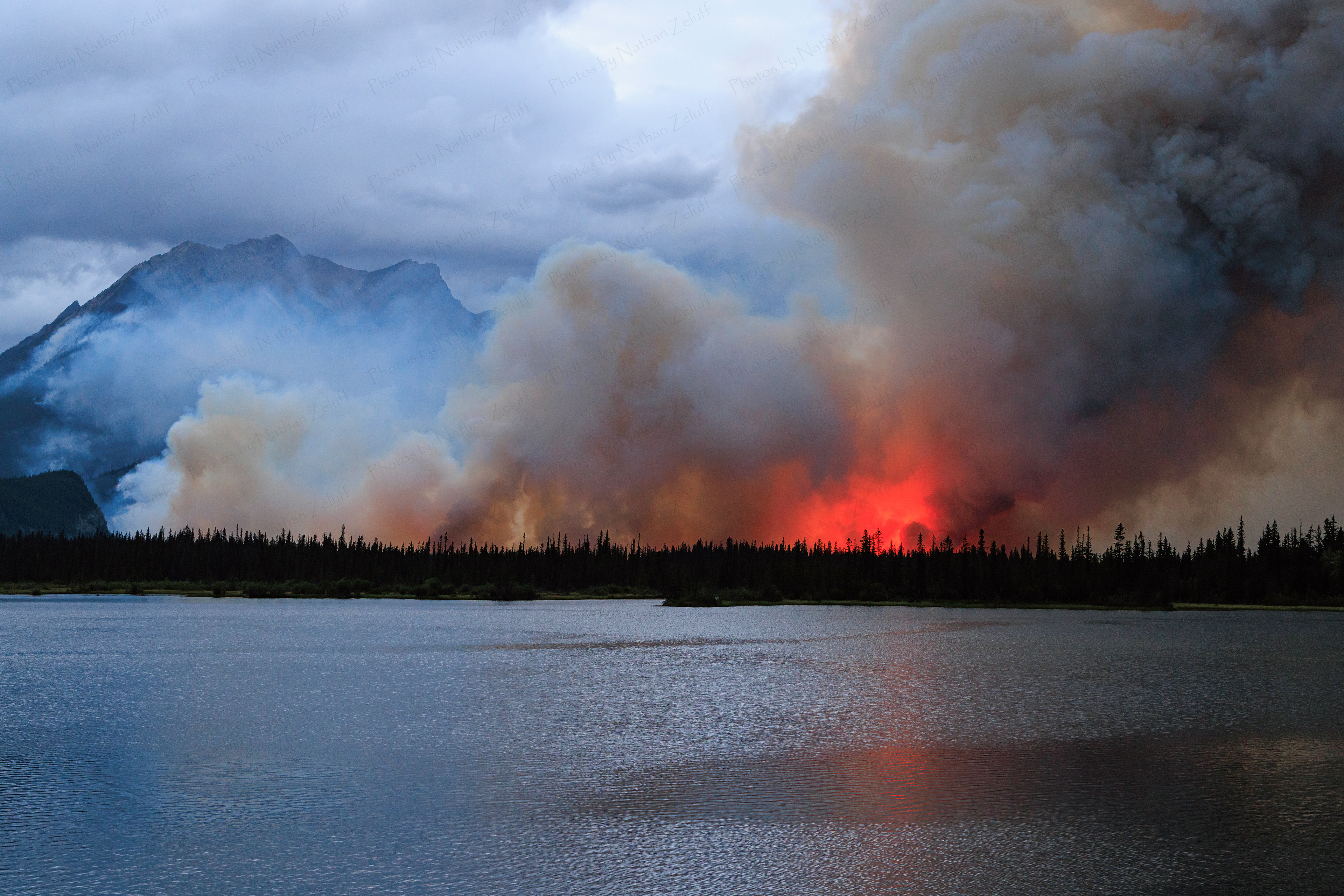 Canadian Blaze (Jasper NP, Canada)